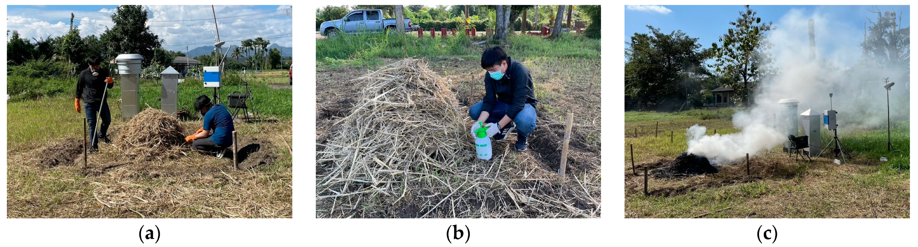 Toxics 12 00086 g001