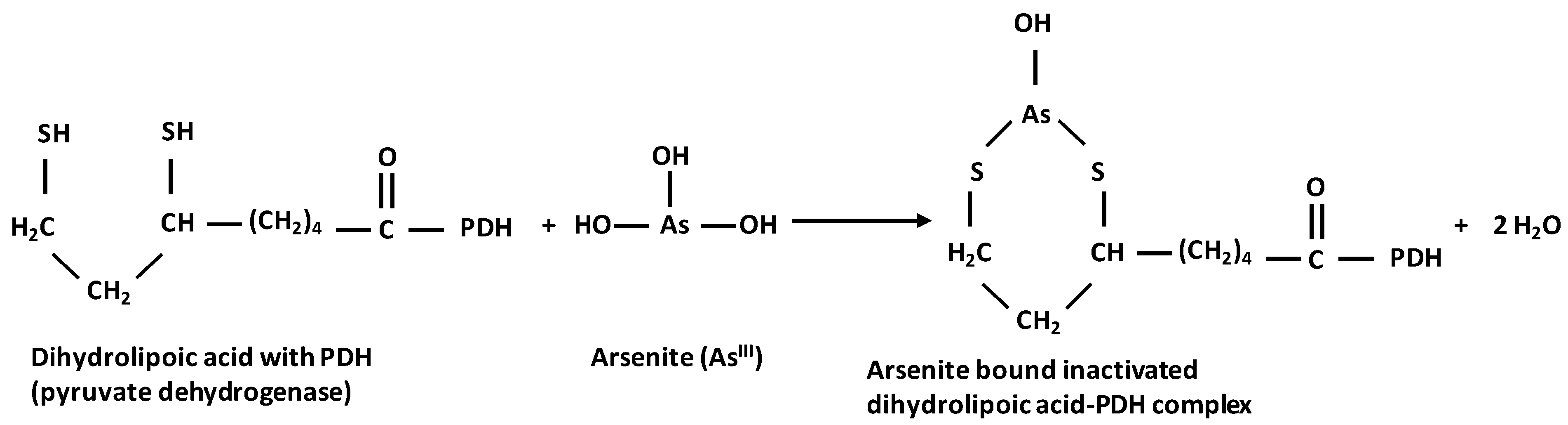 Toxics 12 00089 g003