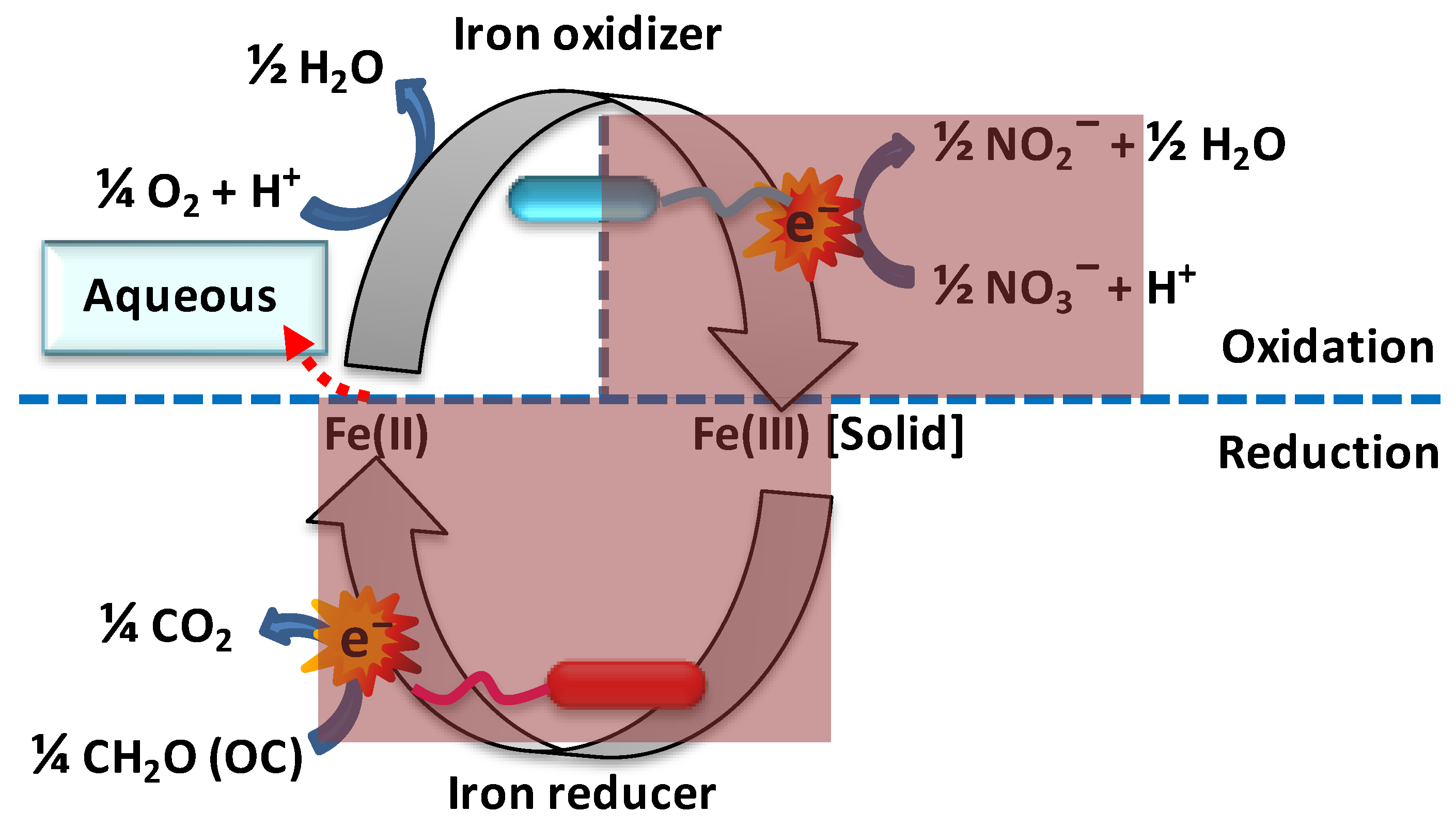 Toxics 12 00089 g005