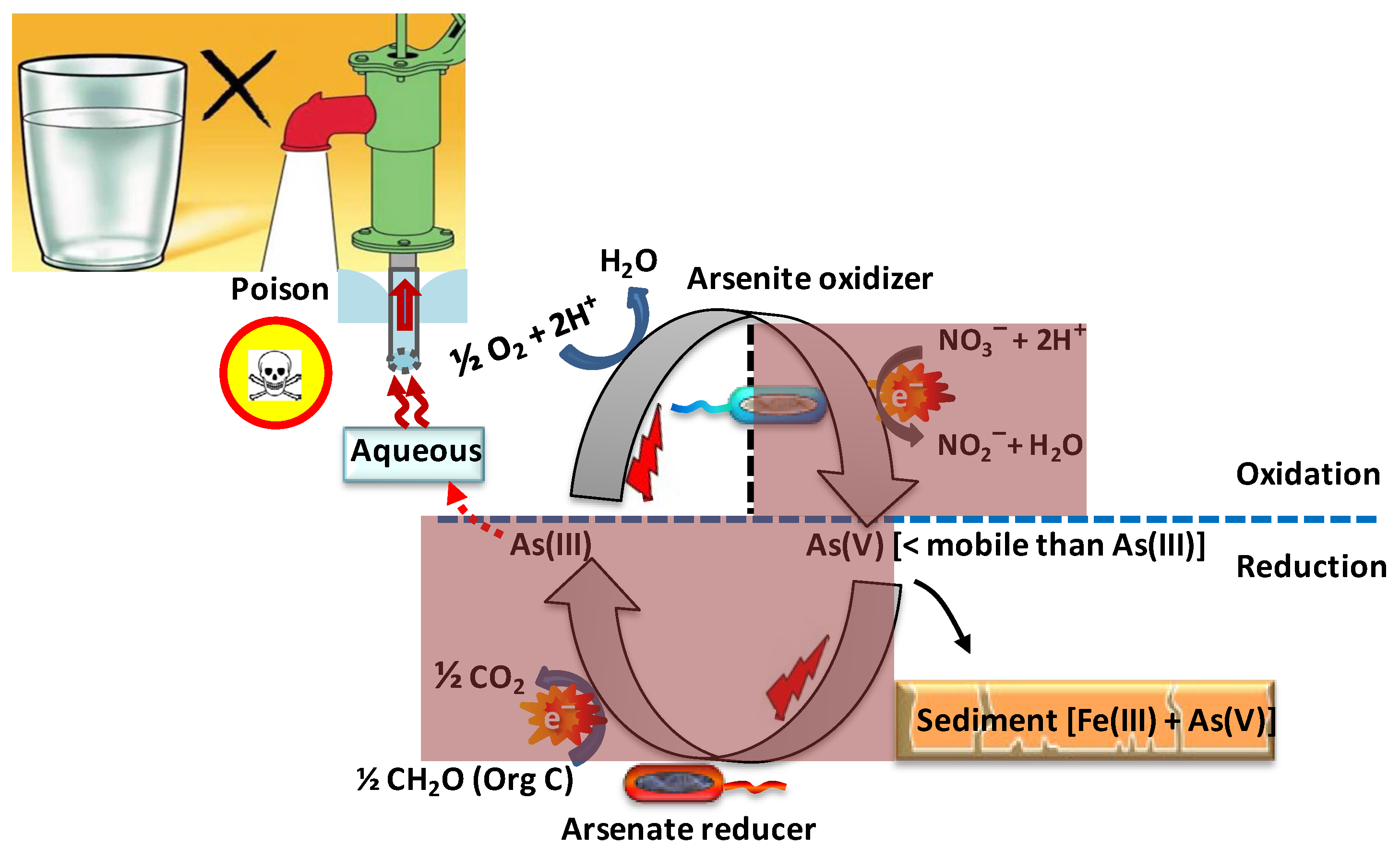 Toxics 12 00089 g006