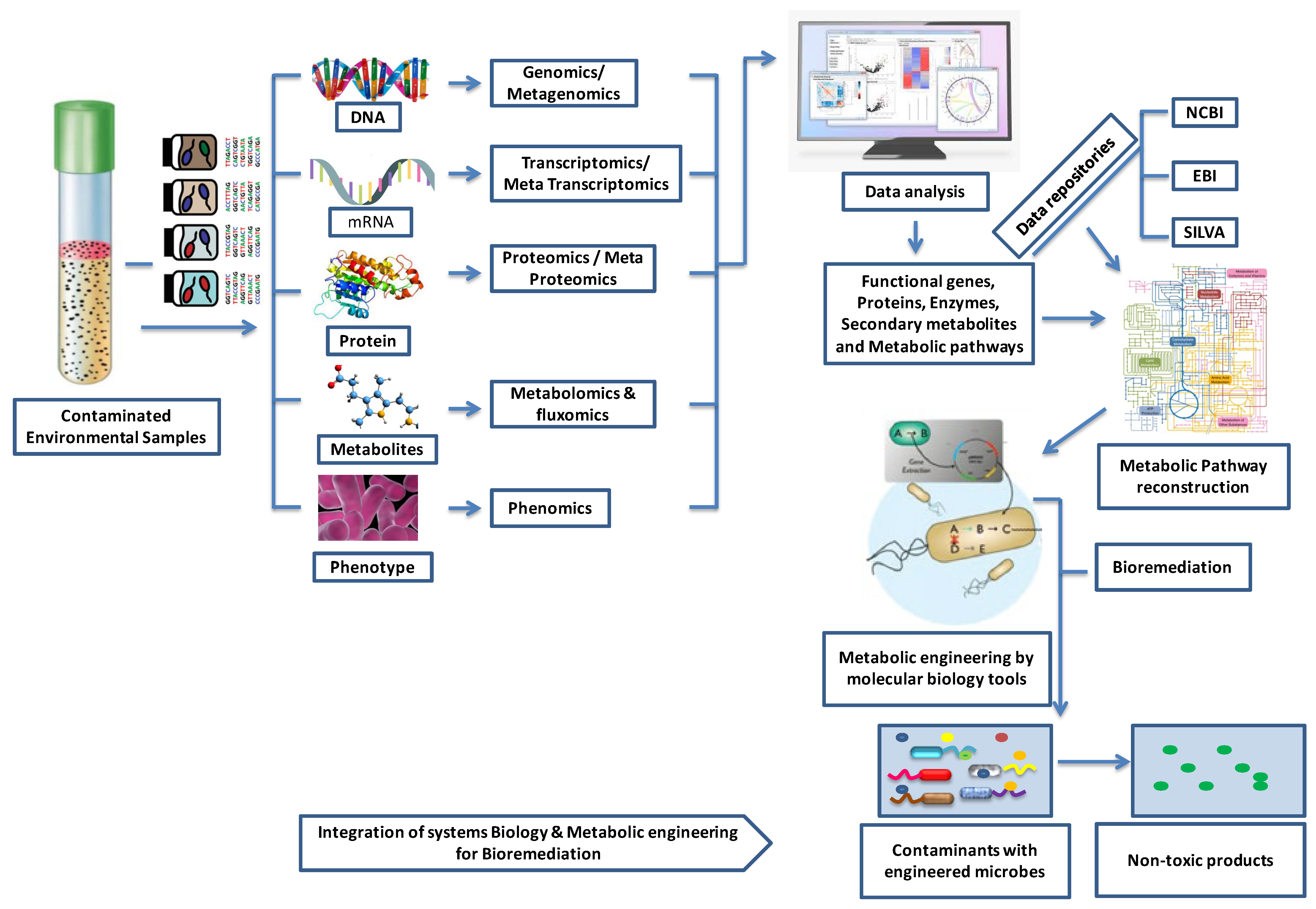 Toxics 12 00089 g009