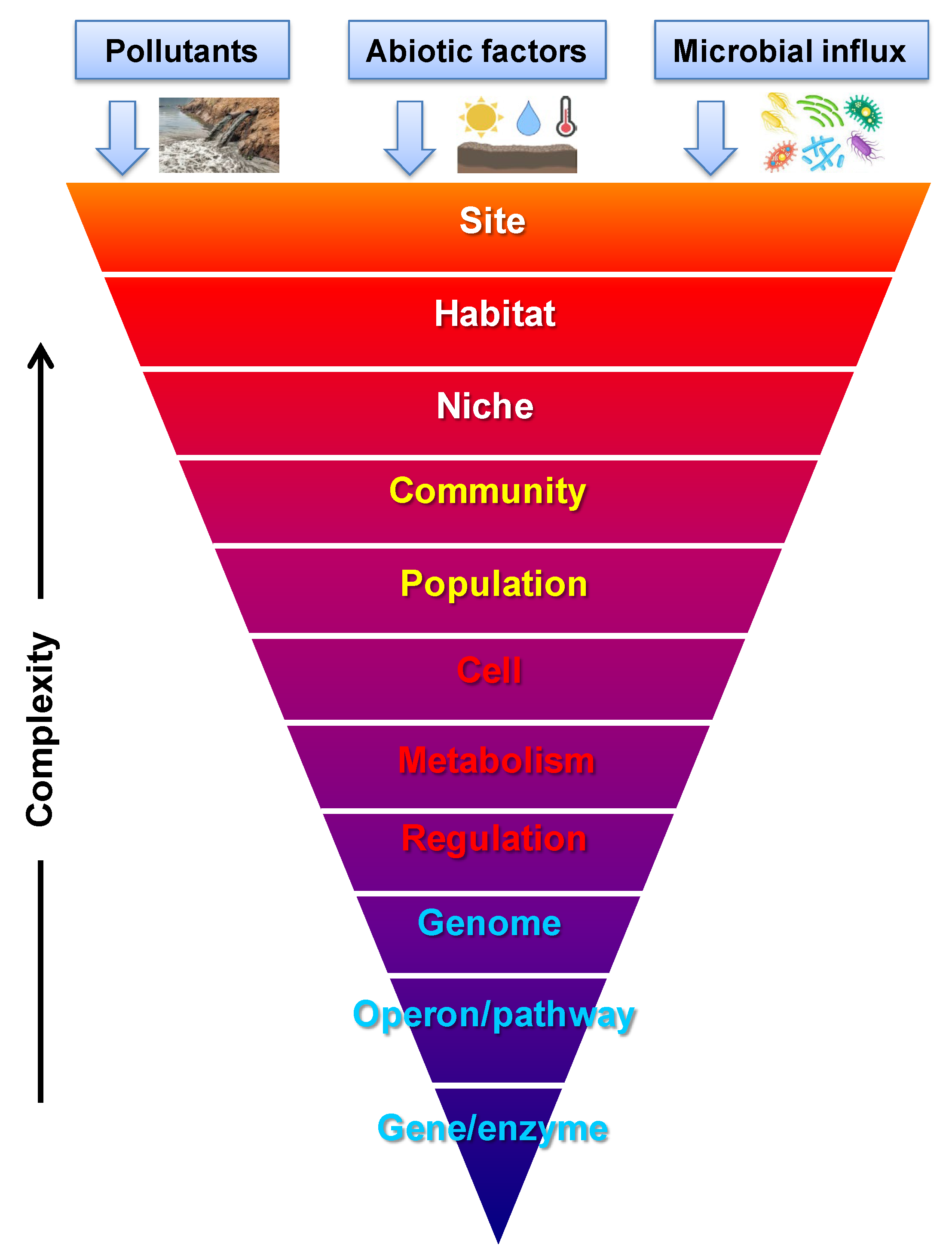 Toxics 12 00089 g010