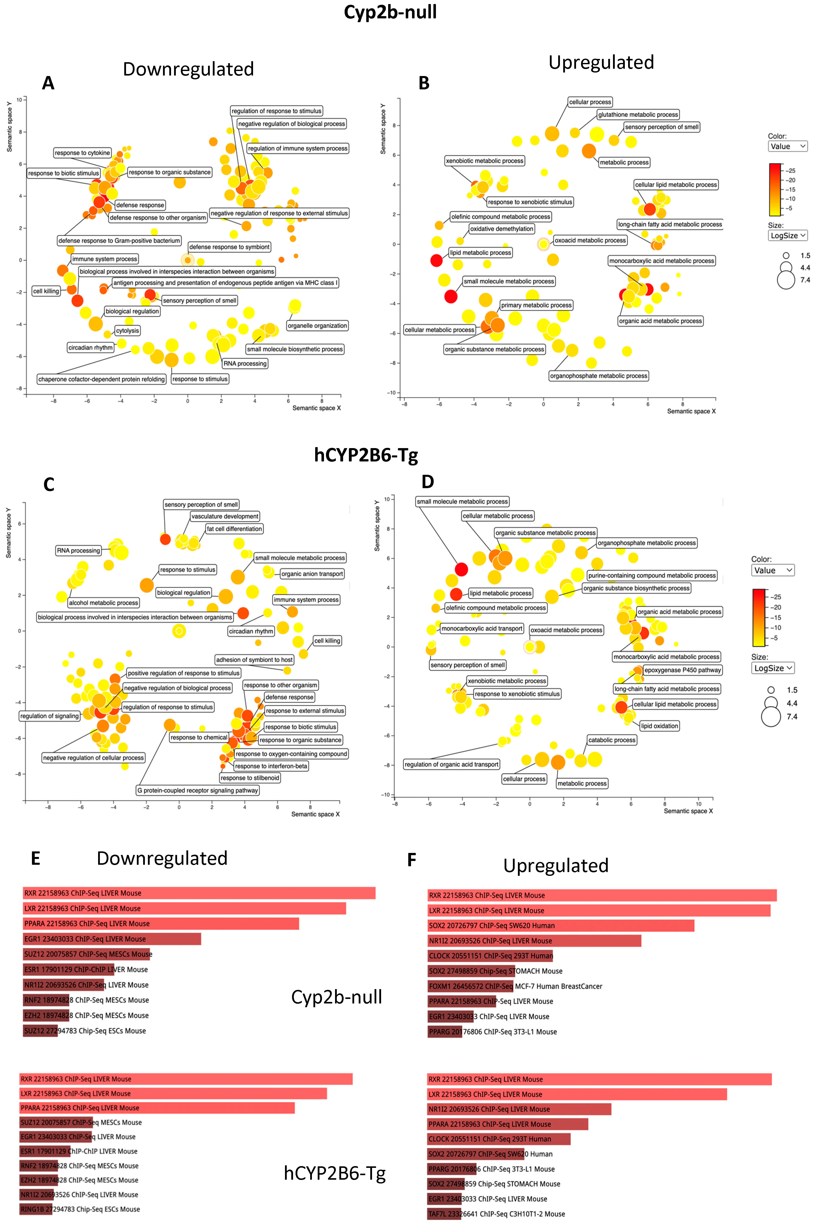 Toxics 12 00106 g005 Toxics 12 00106 g005