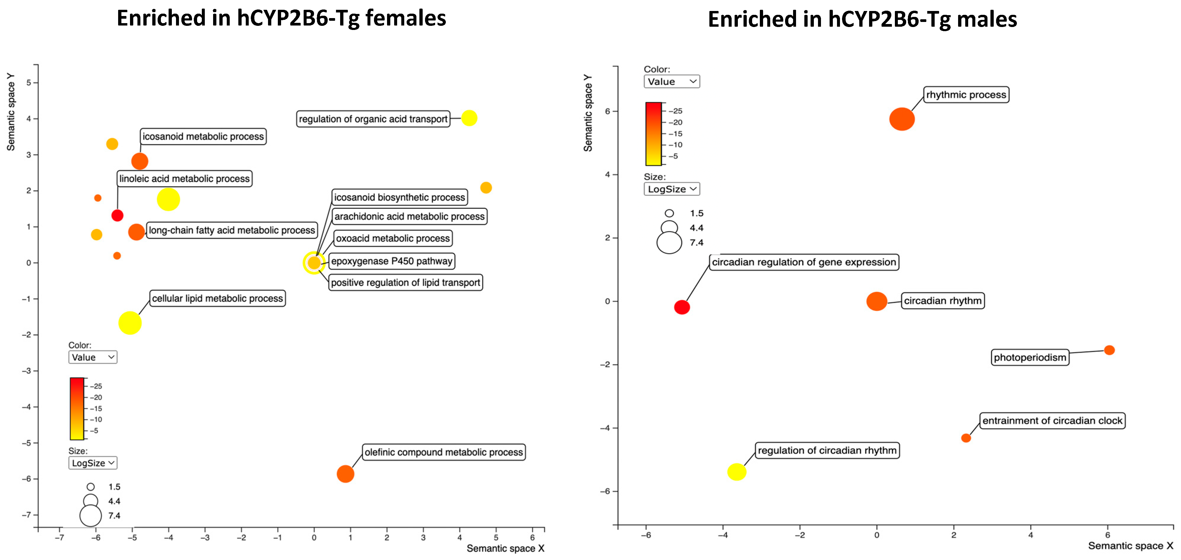 Toxics 12 00106 g006 Toxics 12 00106 g006