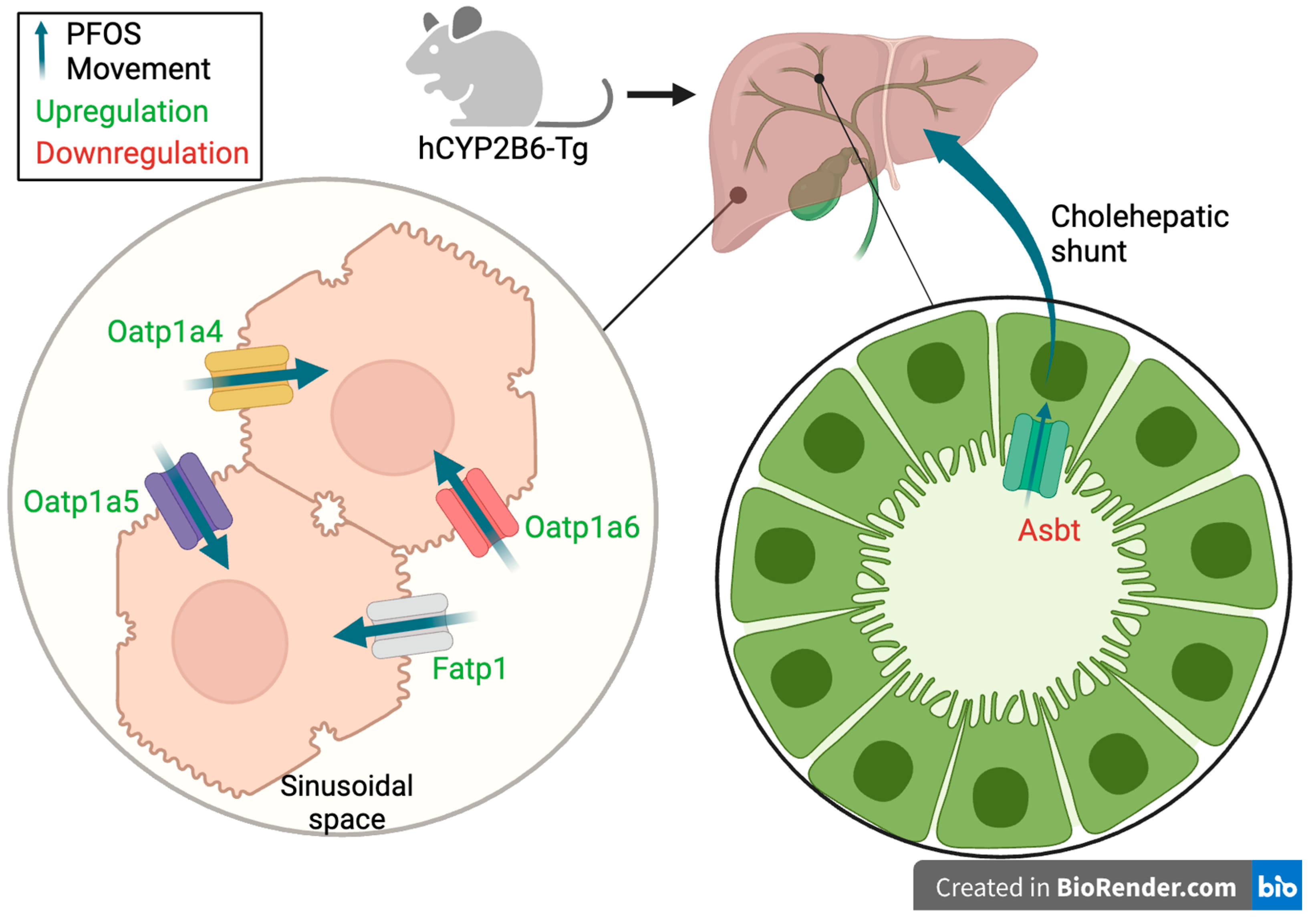 Toxics 12 00106 g010 Toxics 12 00106 g010