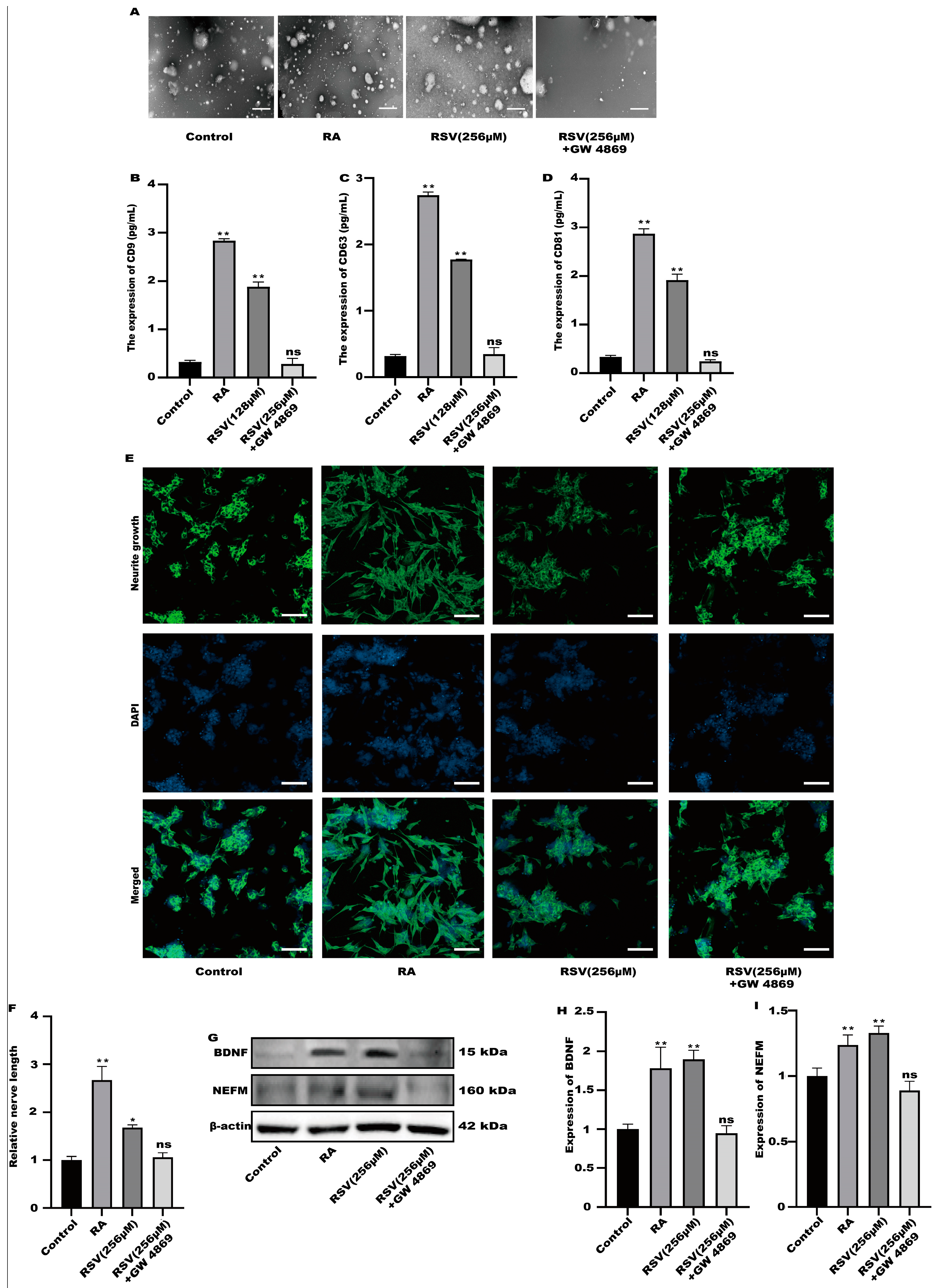 Toxics 12 00122 g004