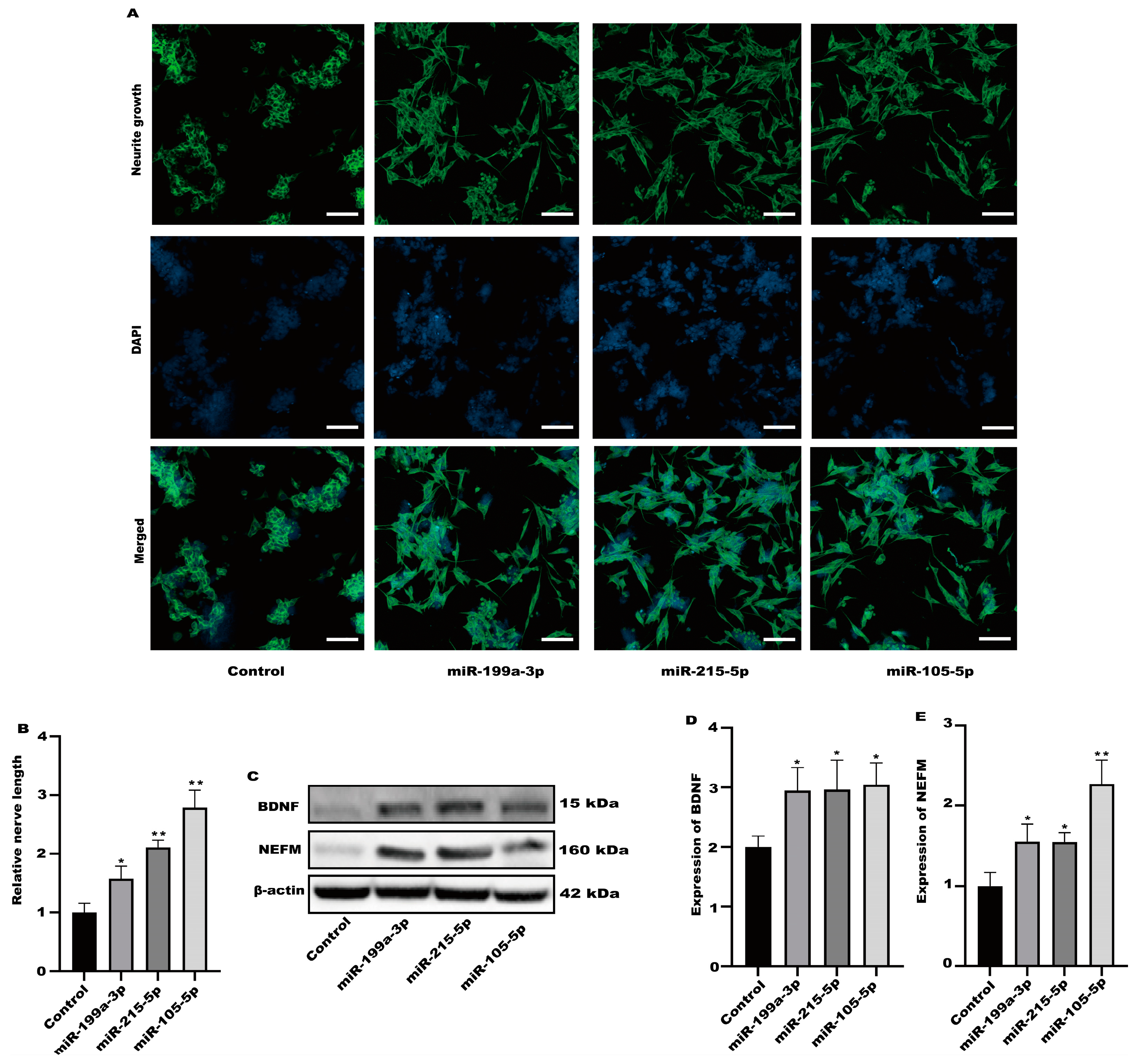 Toxics 12 00122 g008