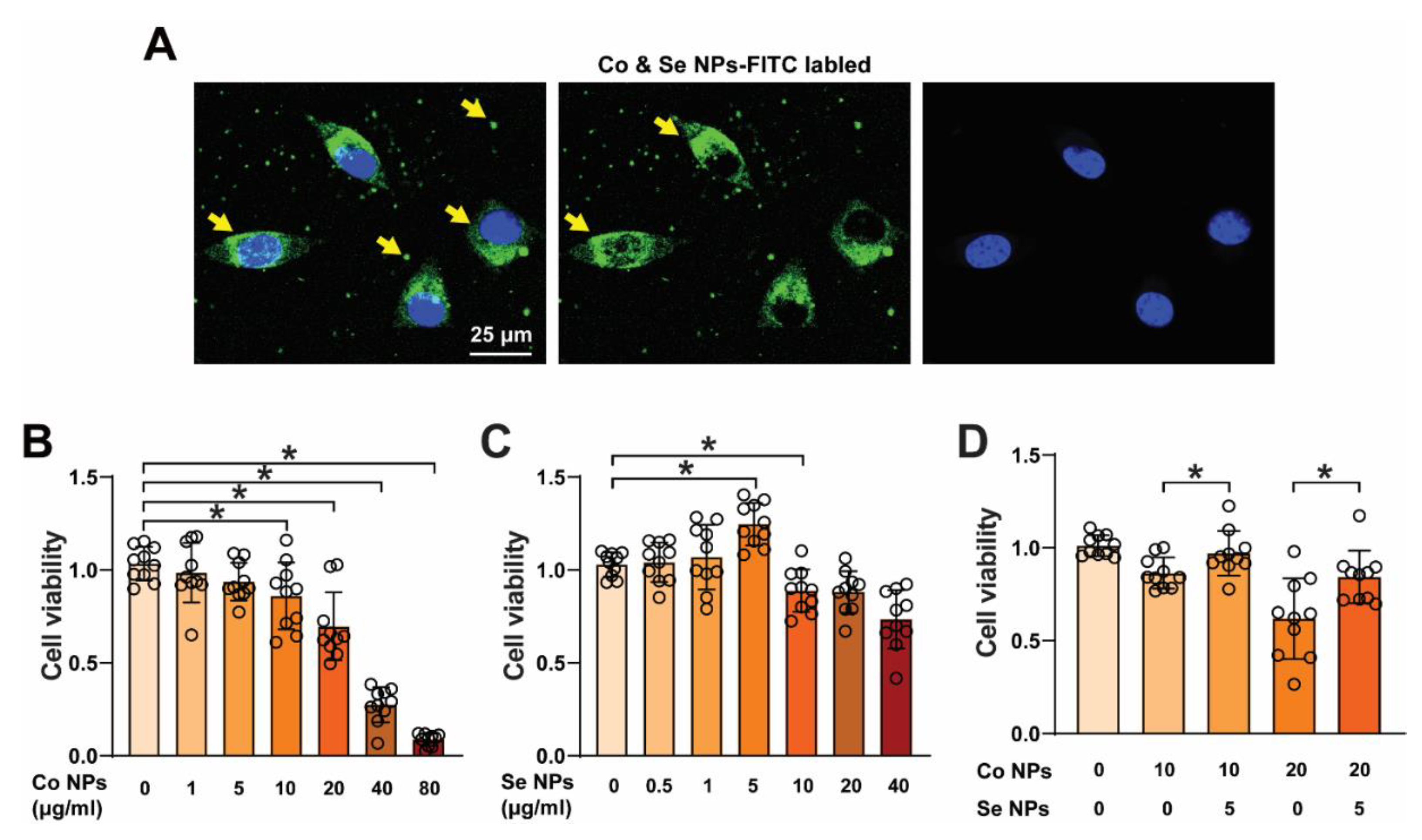 Toxics 12 00130 g002