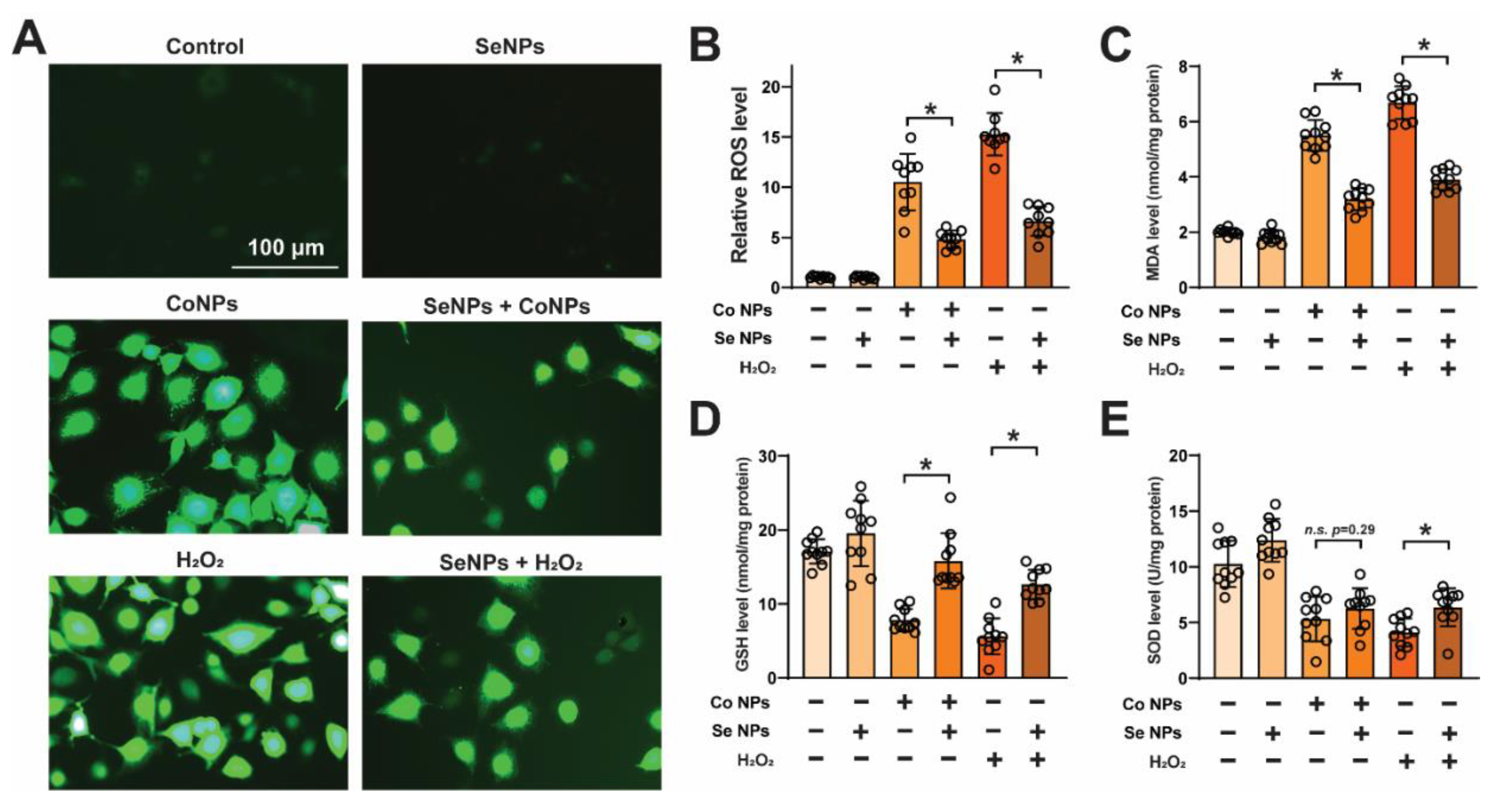 Toxics 12 00130 g003