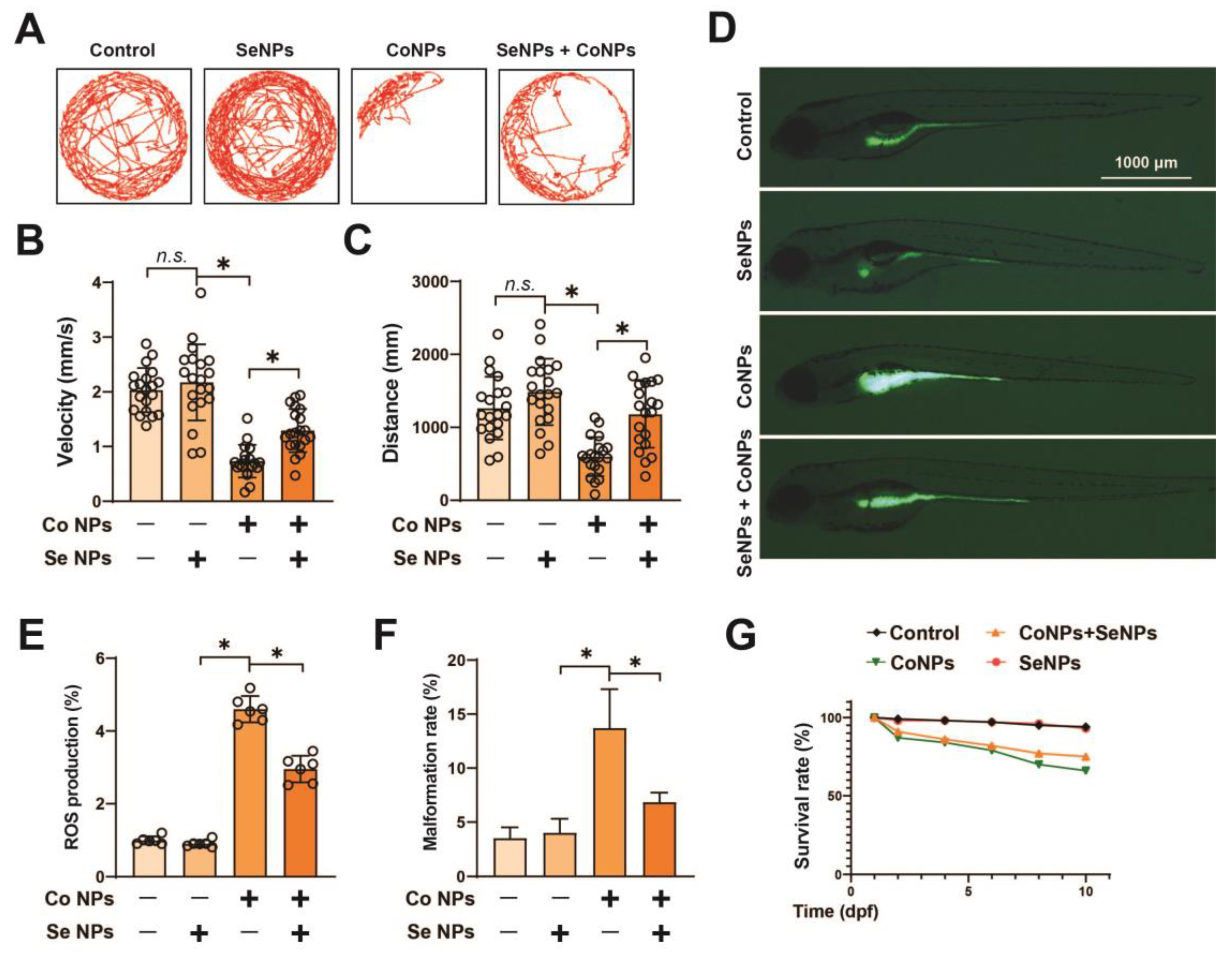 Toxics 12 00130 g006