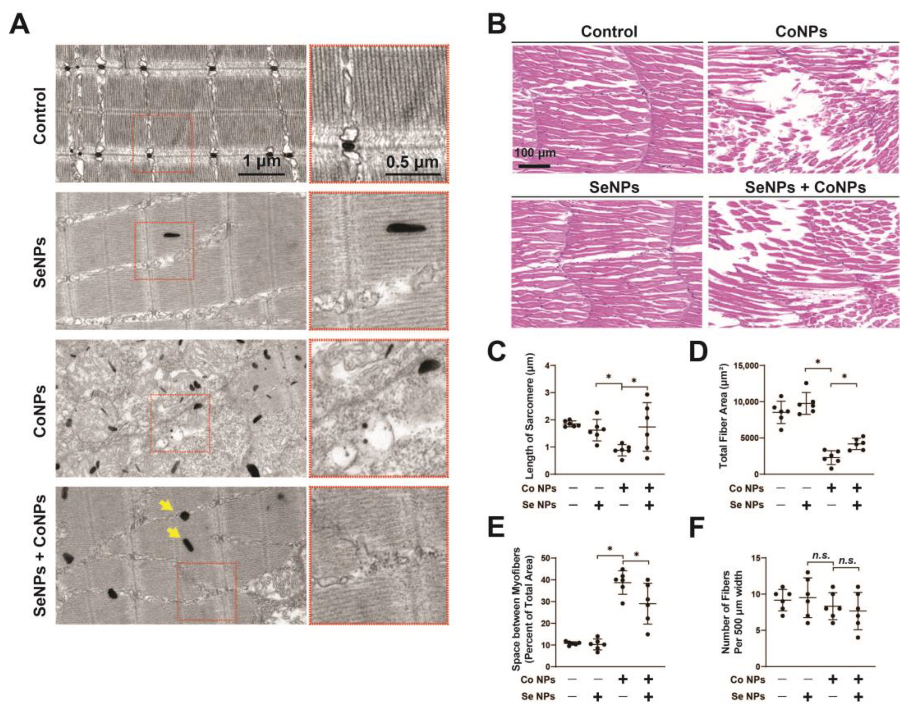 Toxics 12 00130 g007
