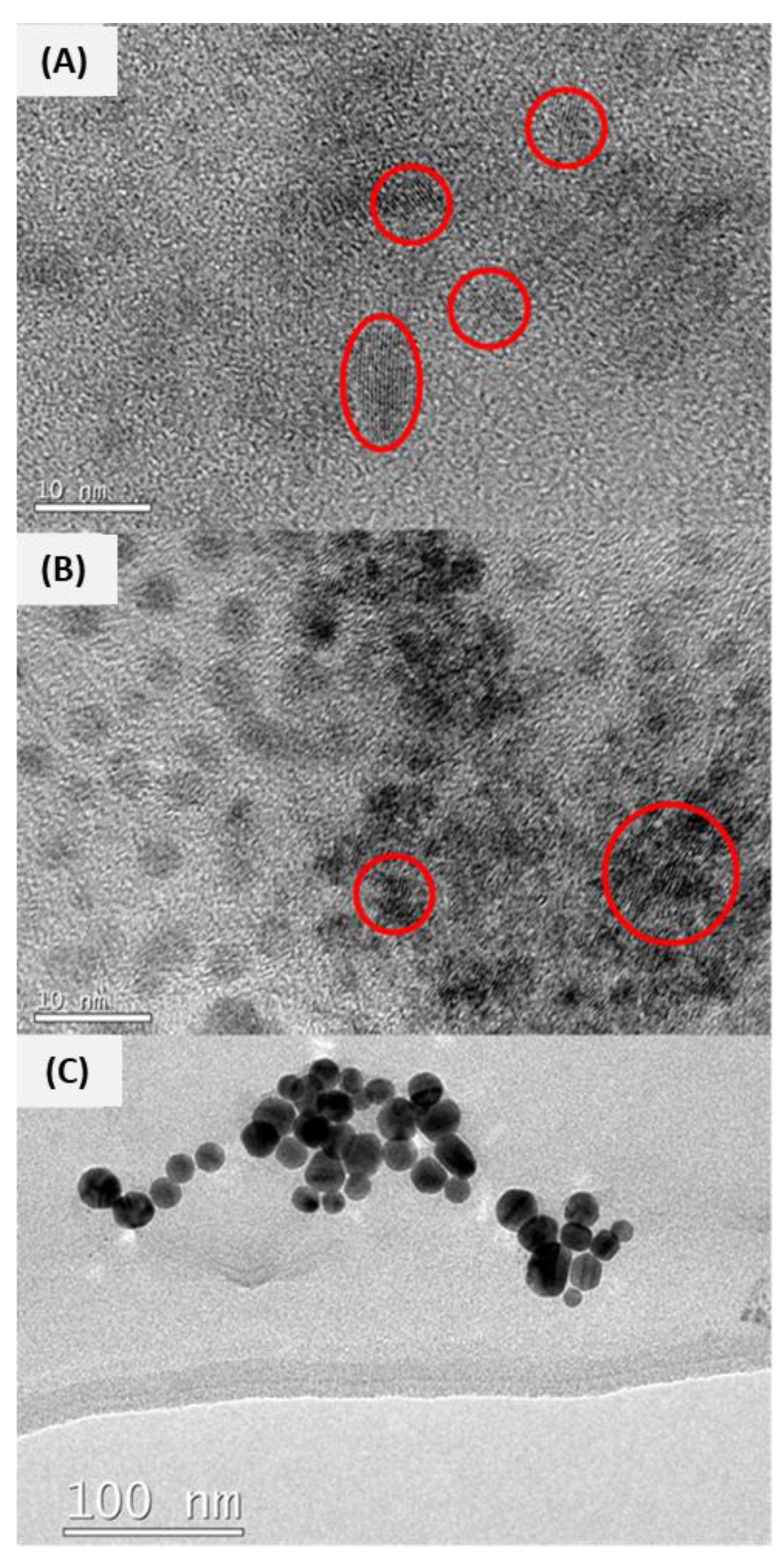 Toxics 12 00142 g001