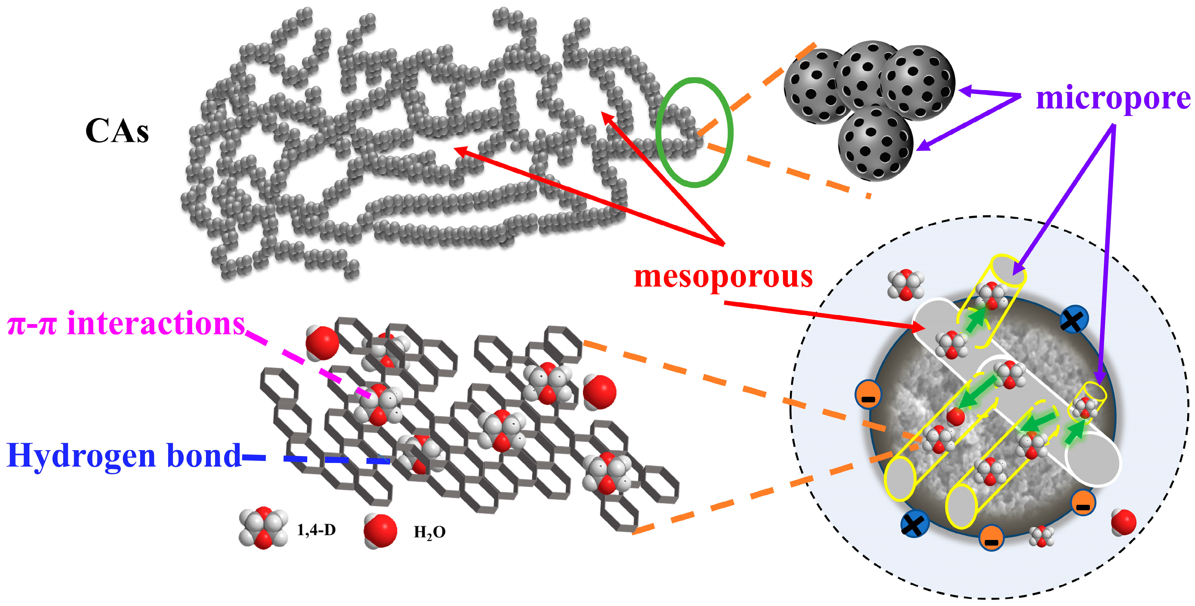 Toxics 12 00145 g013
