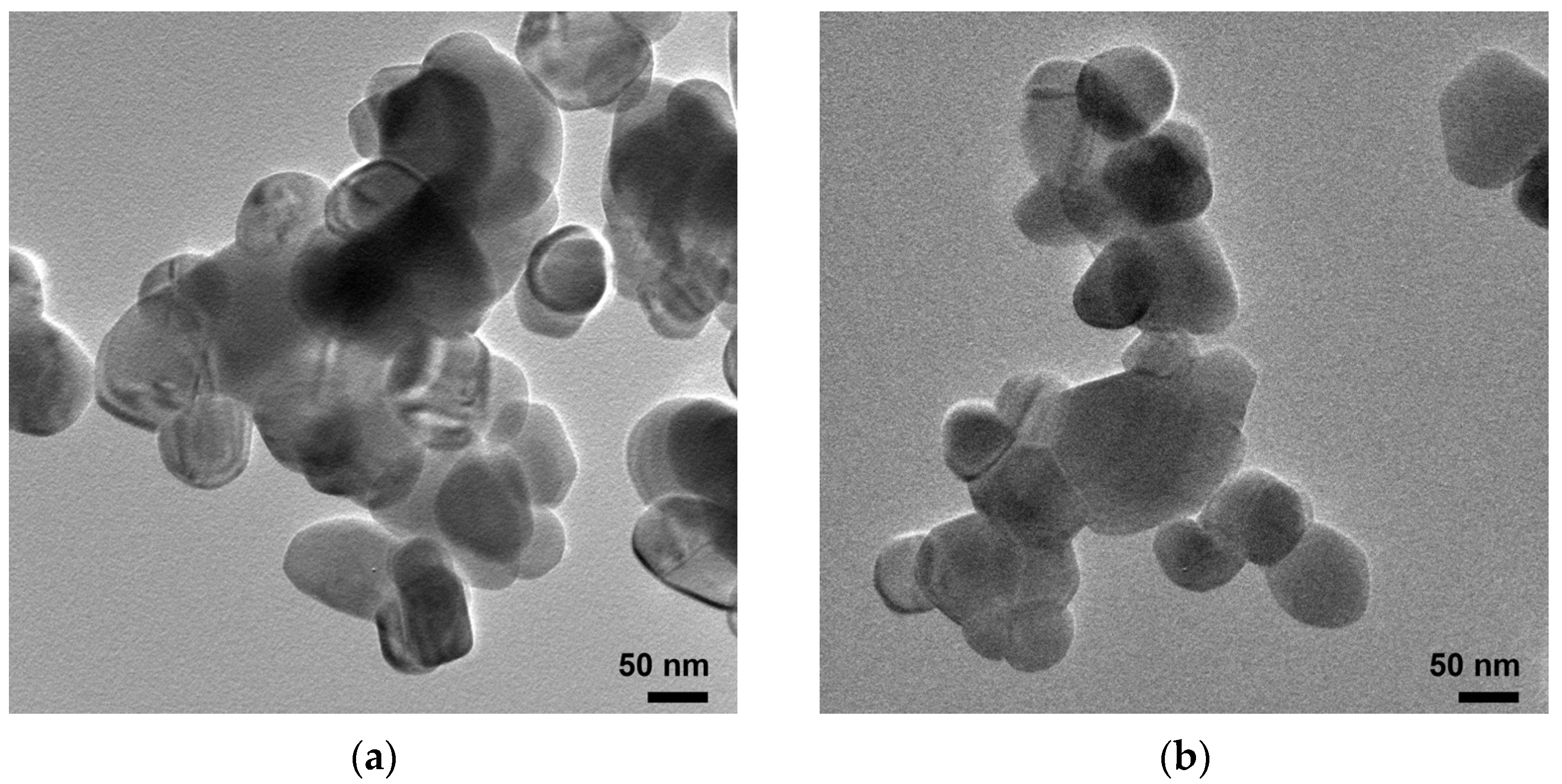 Toxics 12 00165 g004