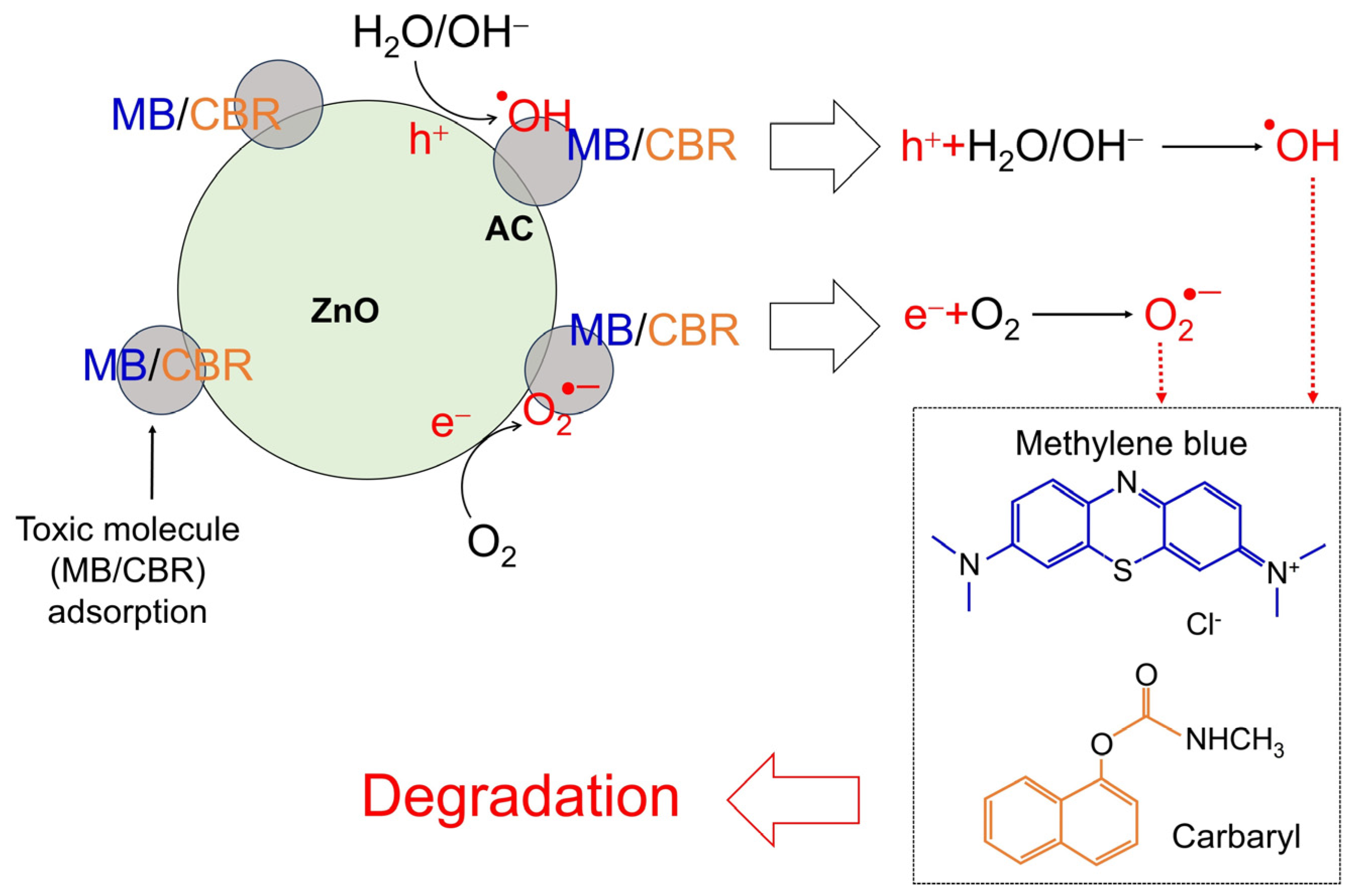 Toxics 12 00165 g010