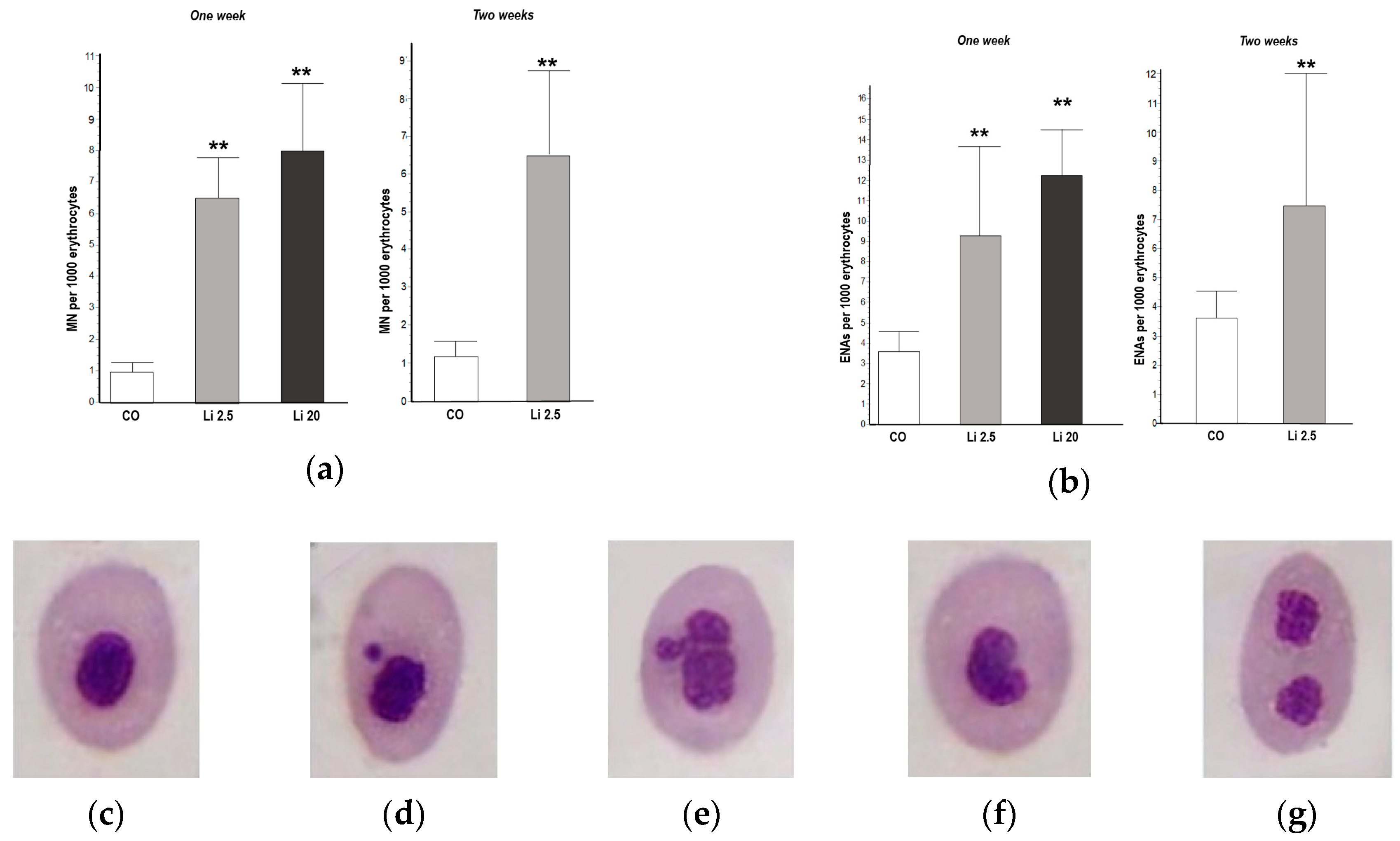 Toxics 12 00176 g003