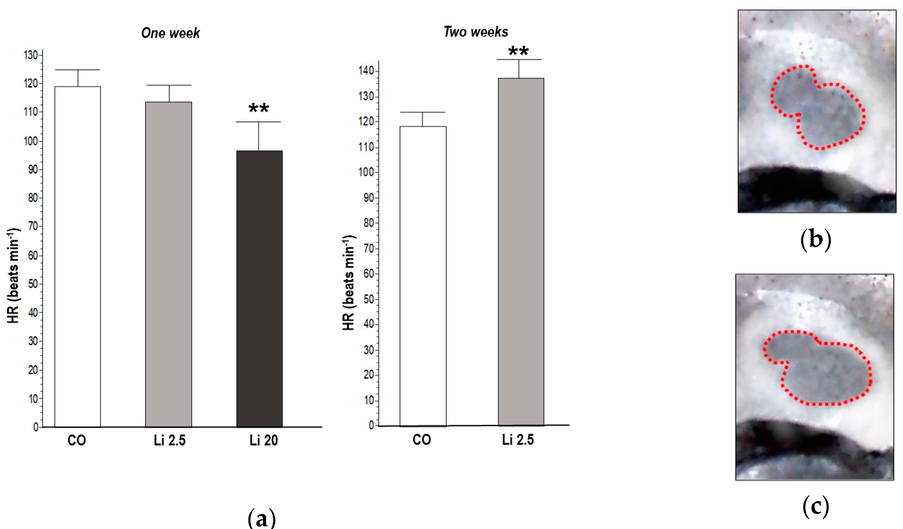 Toxics 12 00176 g004