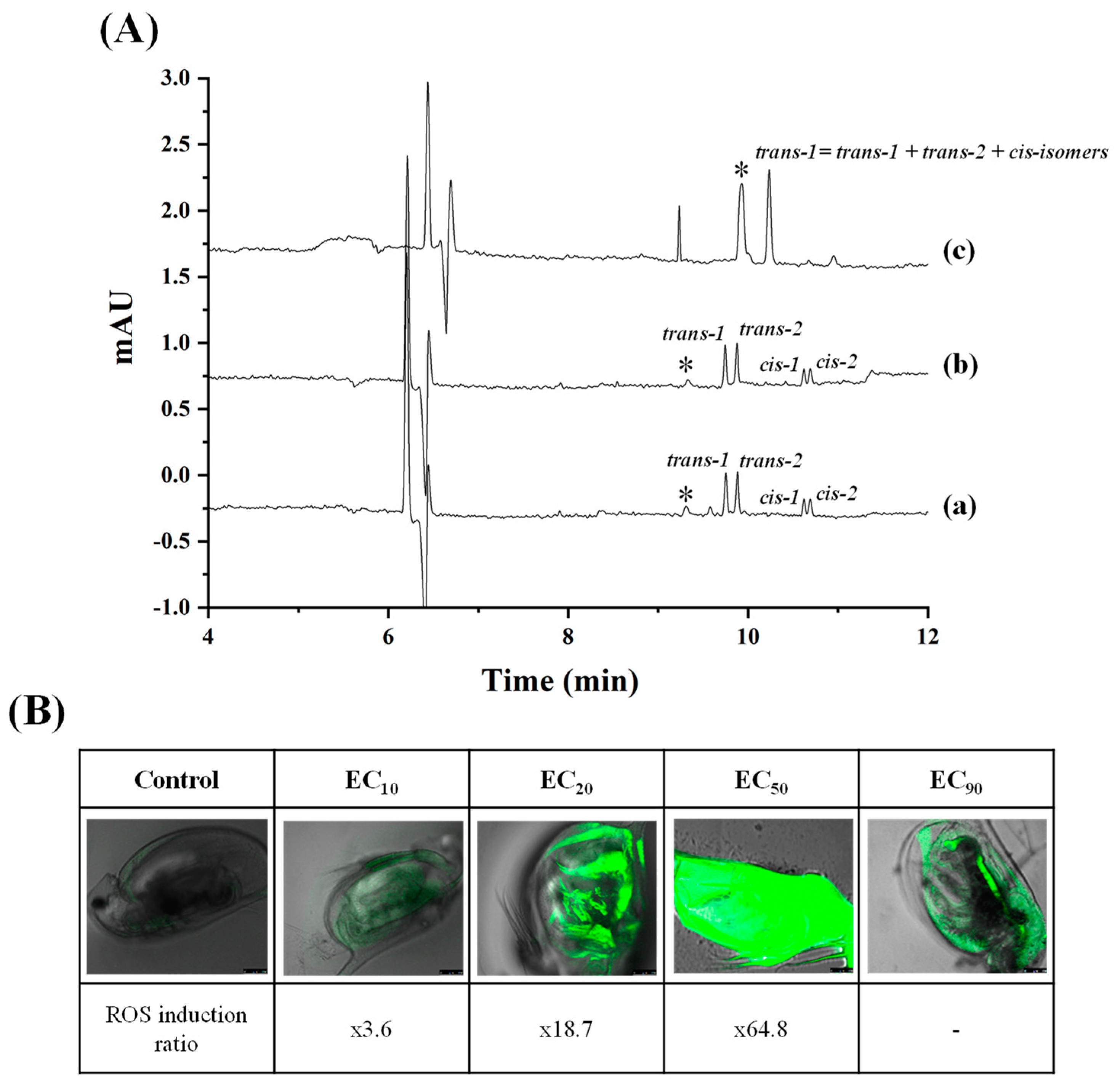 Toxics 12 00185 g006