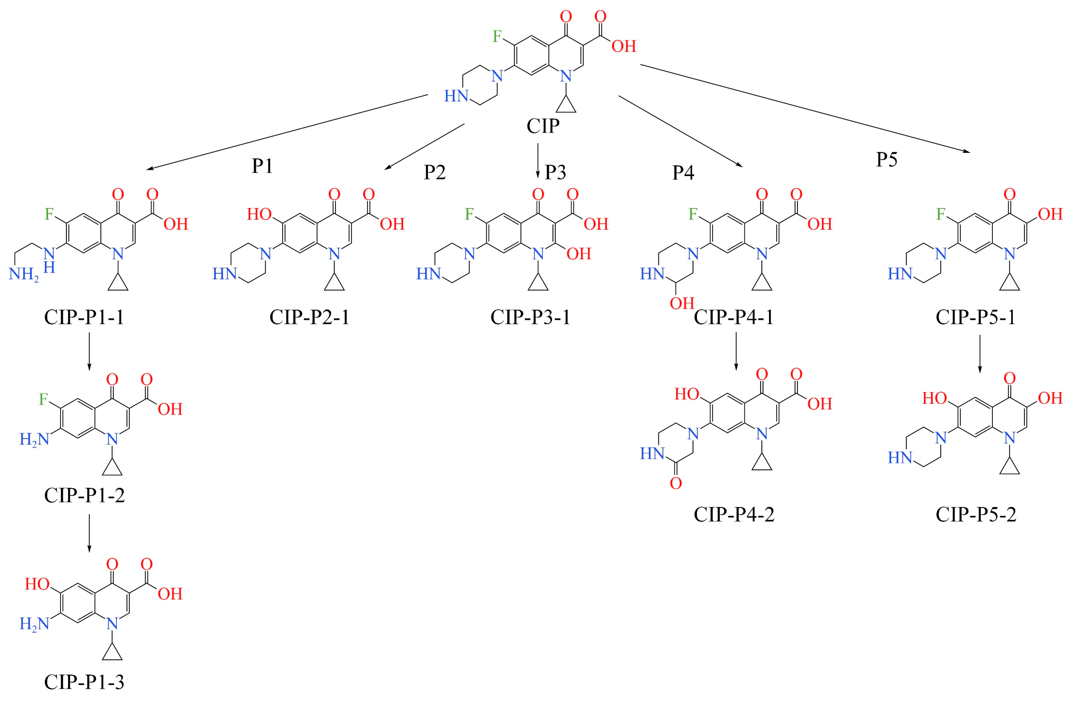 Toxics 12 00203 g001