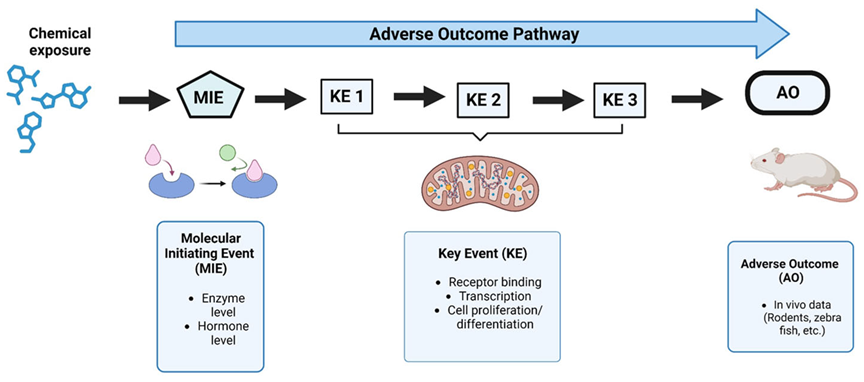 Toxics 12 00218 g001