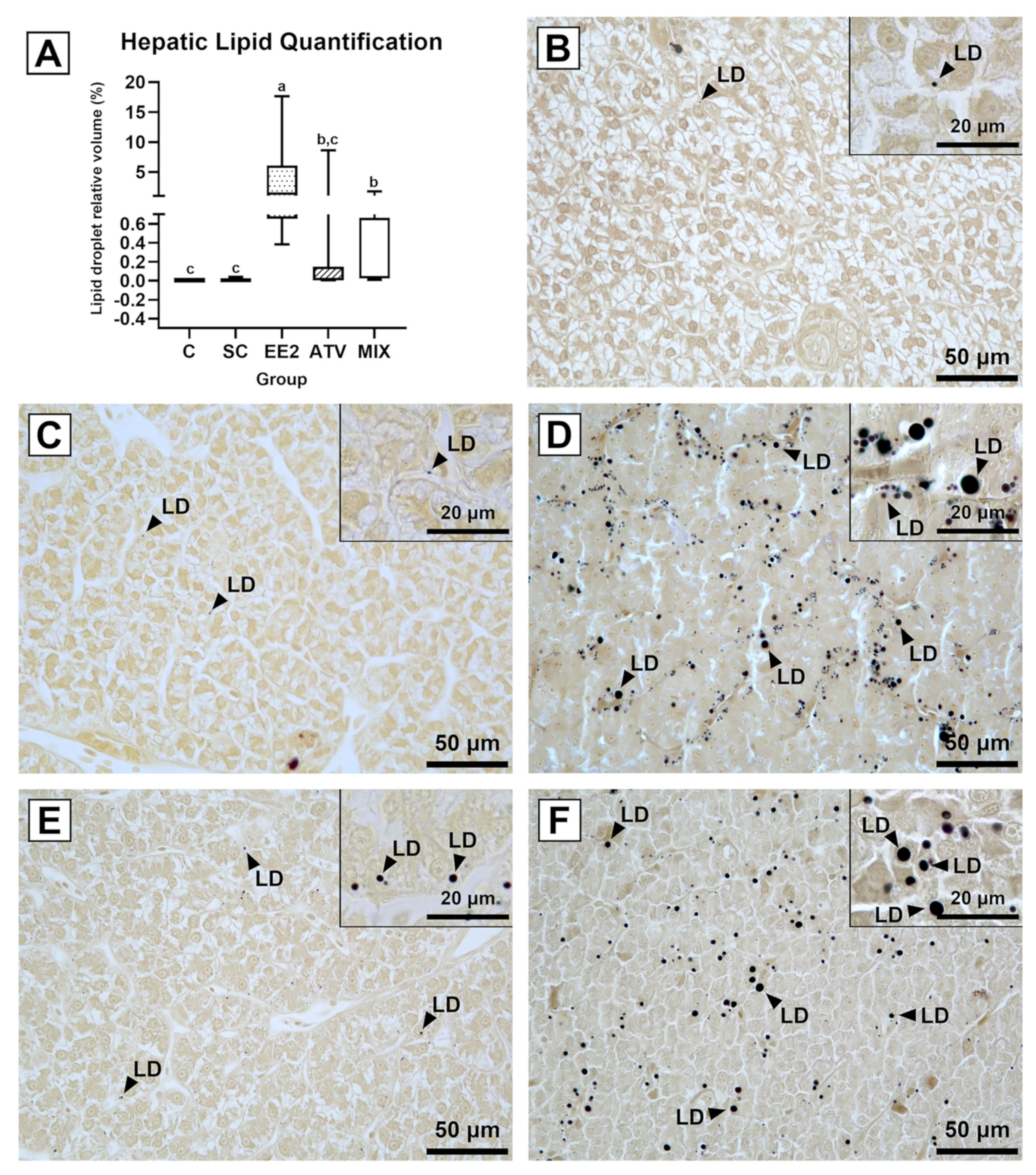 Toxics 12 00219 g001