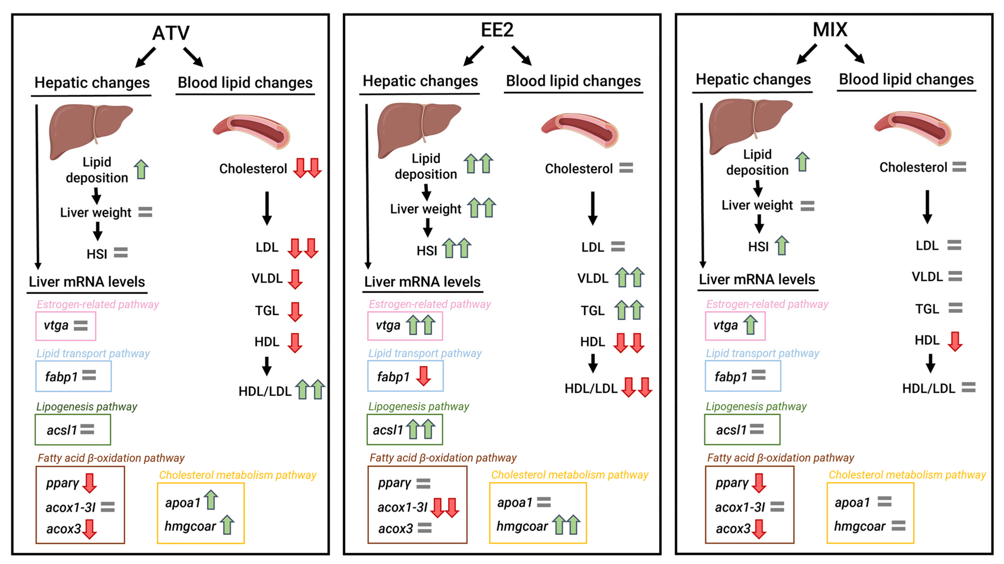 Toxics 12 00219 g003