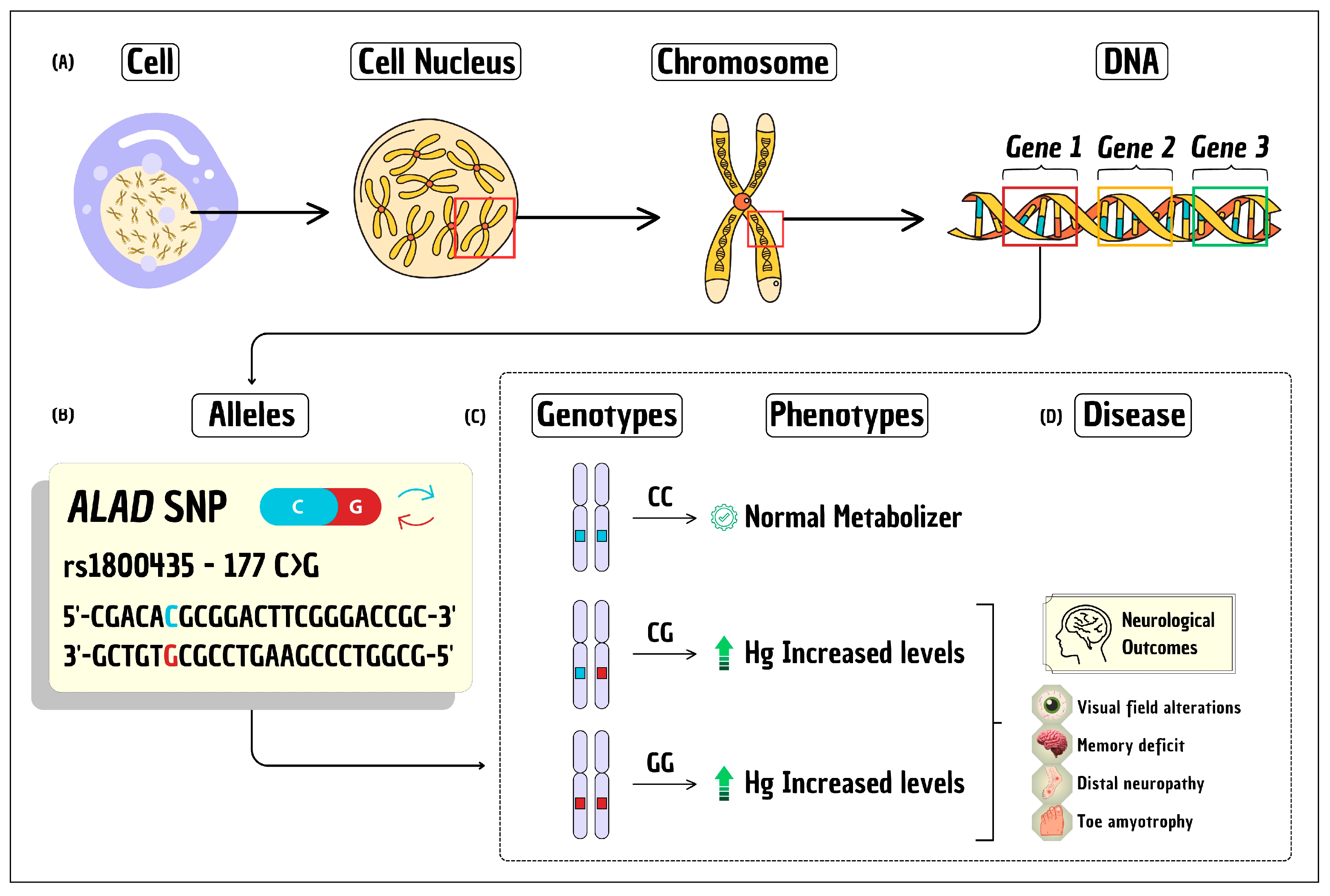 Toxics 12 00226 g001
