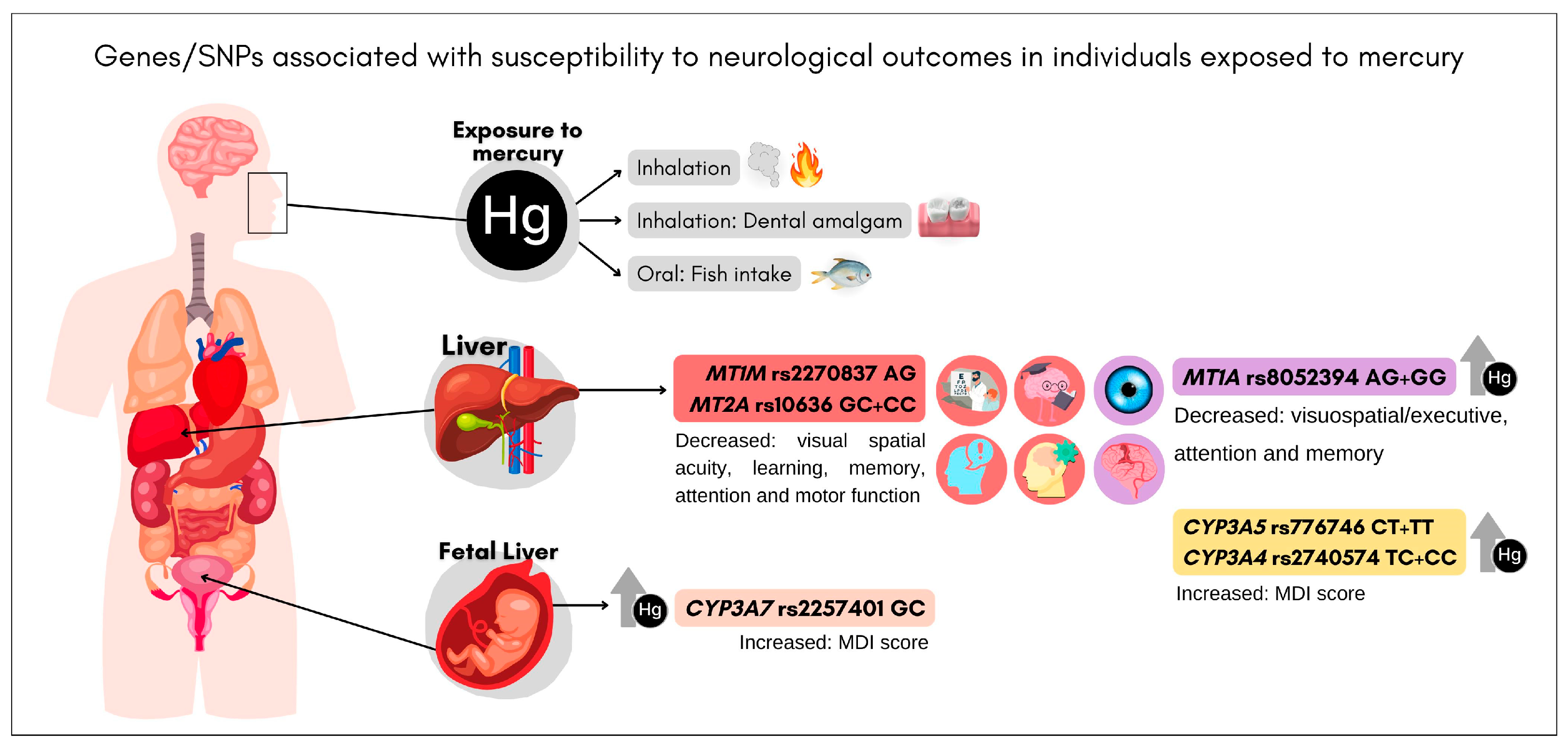 Toxics 12 00226 g003