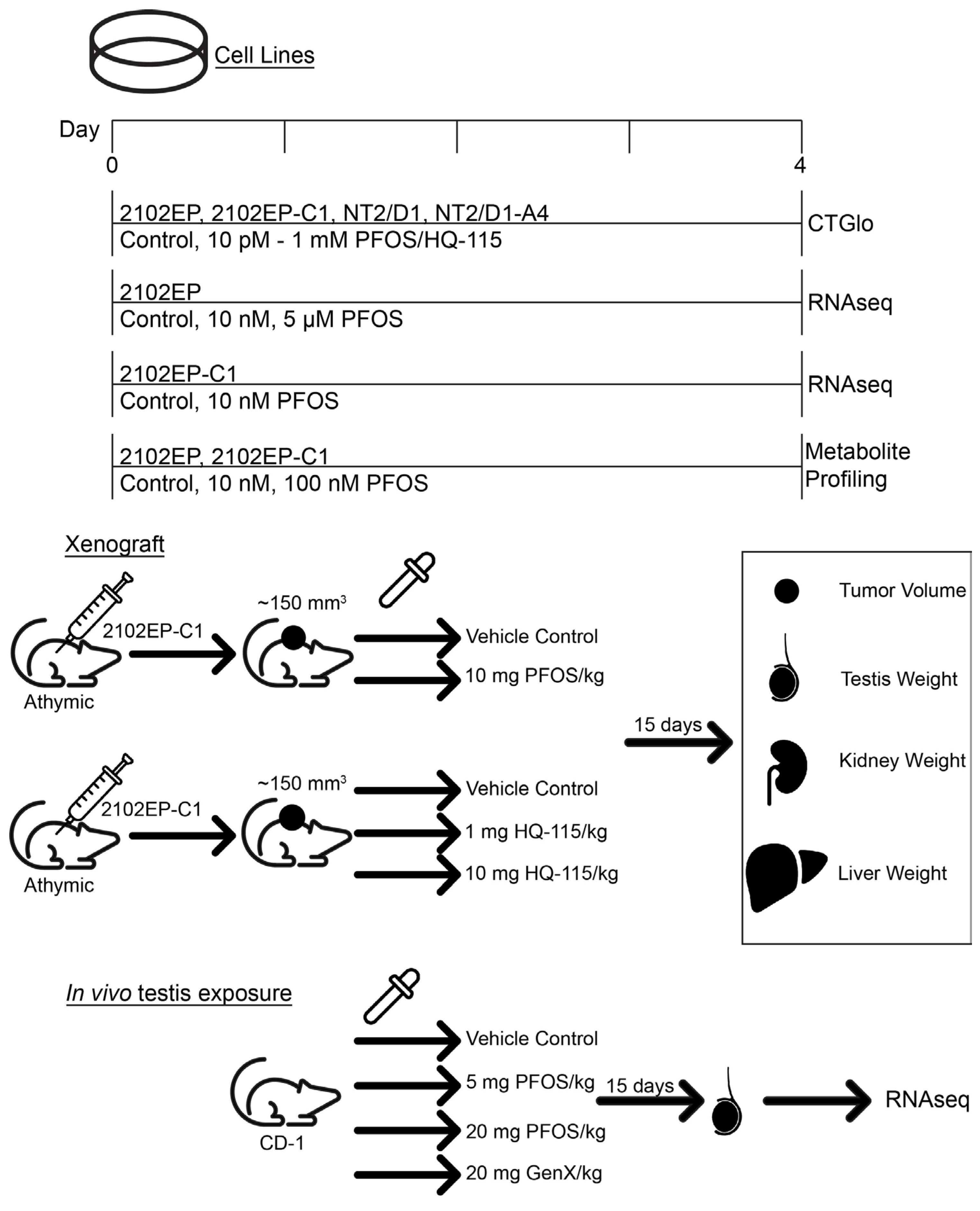 Toxics 12 00232 g001