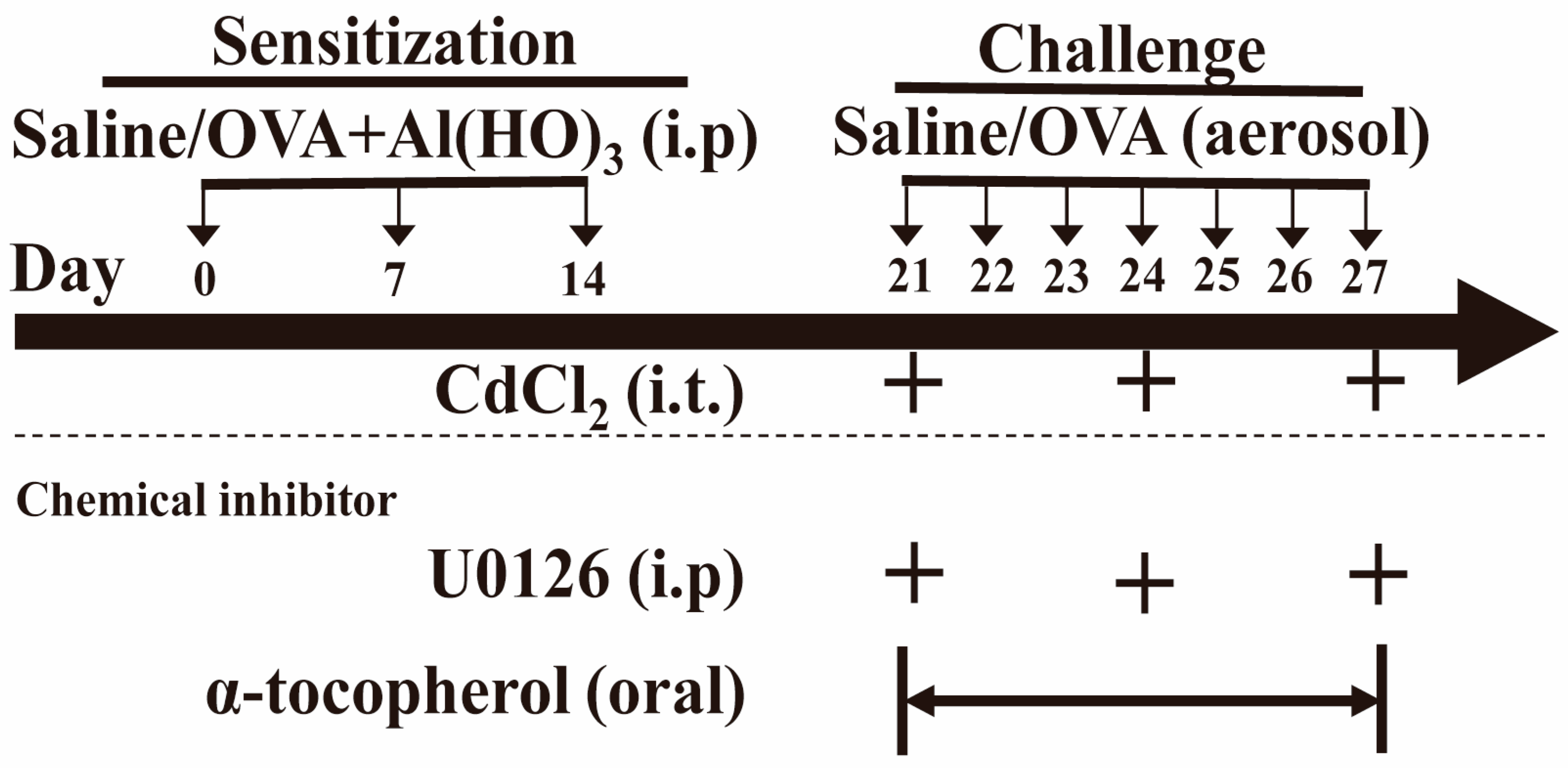 Toxics 12 00235 g001