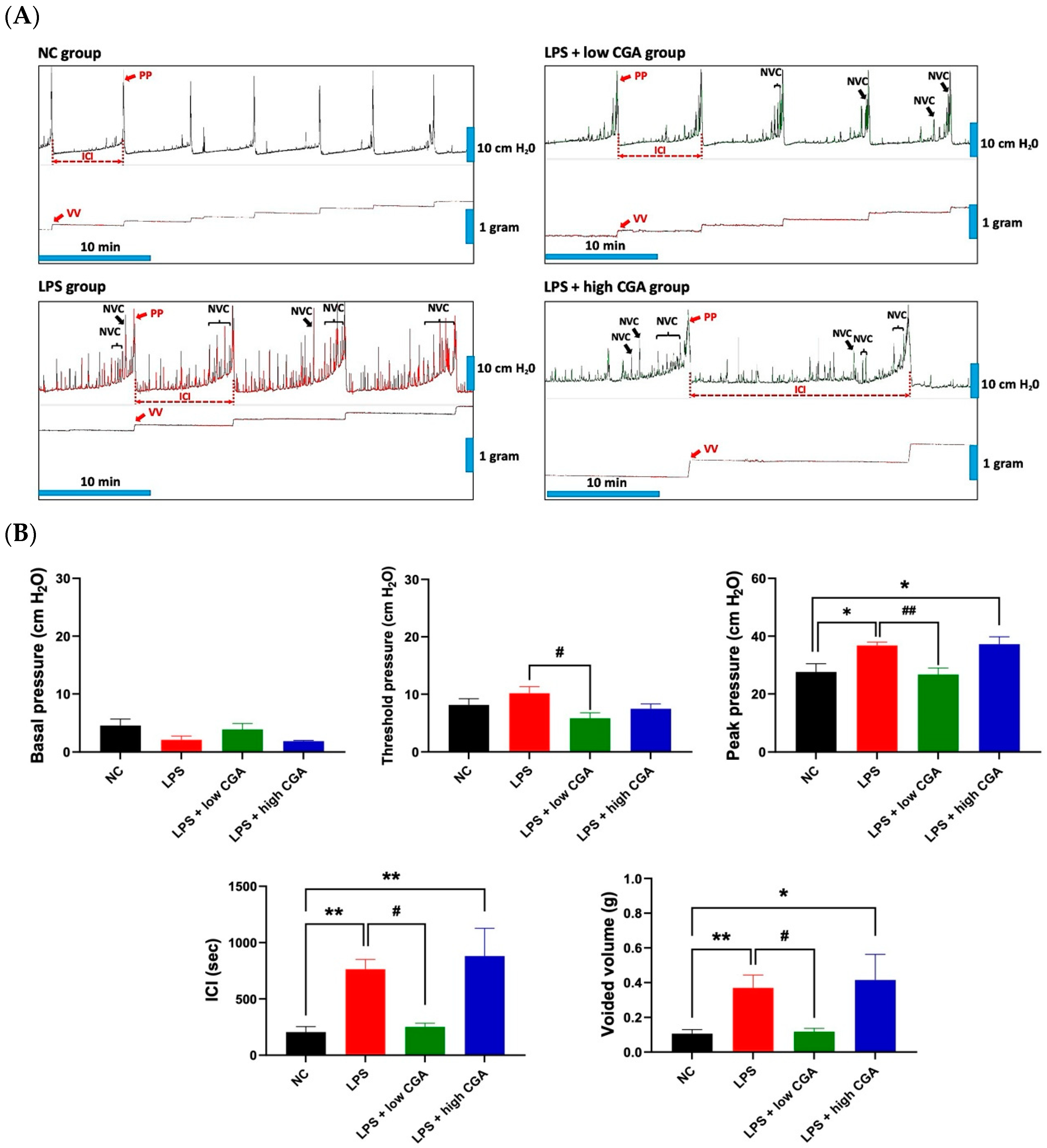 Toxics 12 00239 g001
