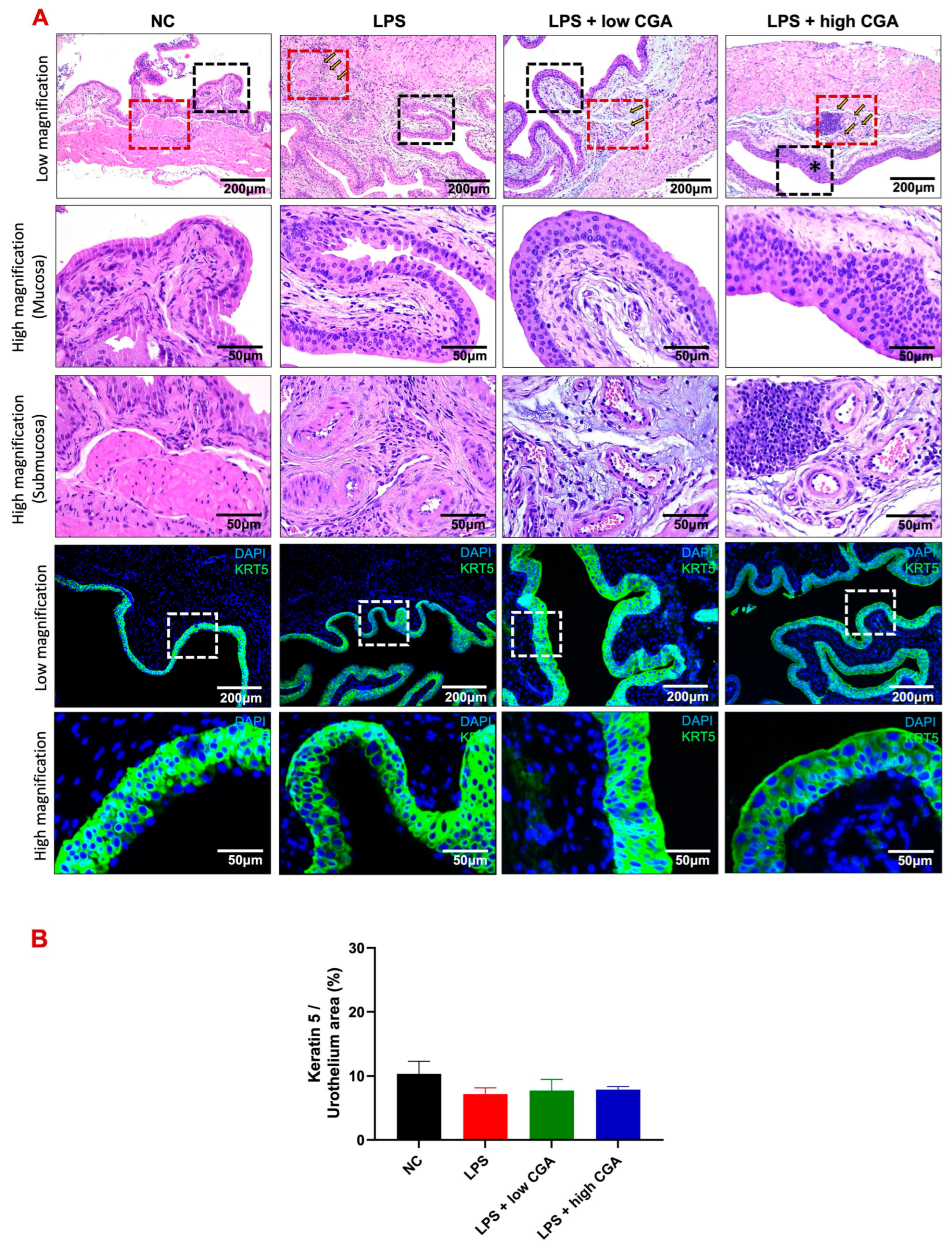 Toxics 12 00239 g002