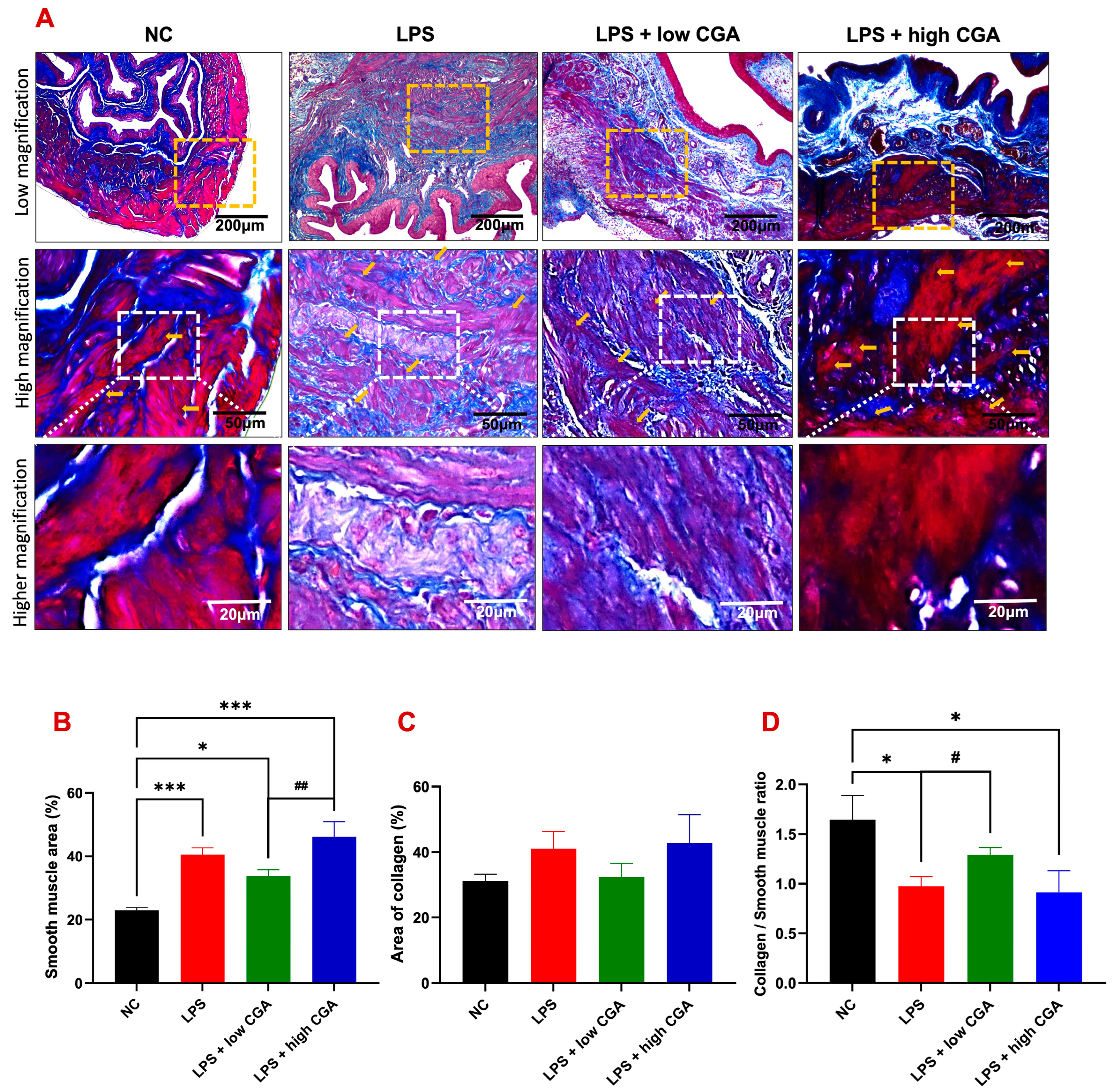 Toxics 12 00239 g003