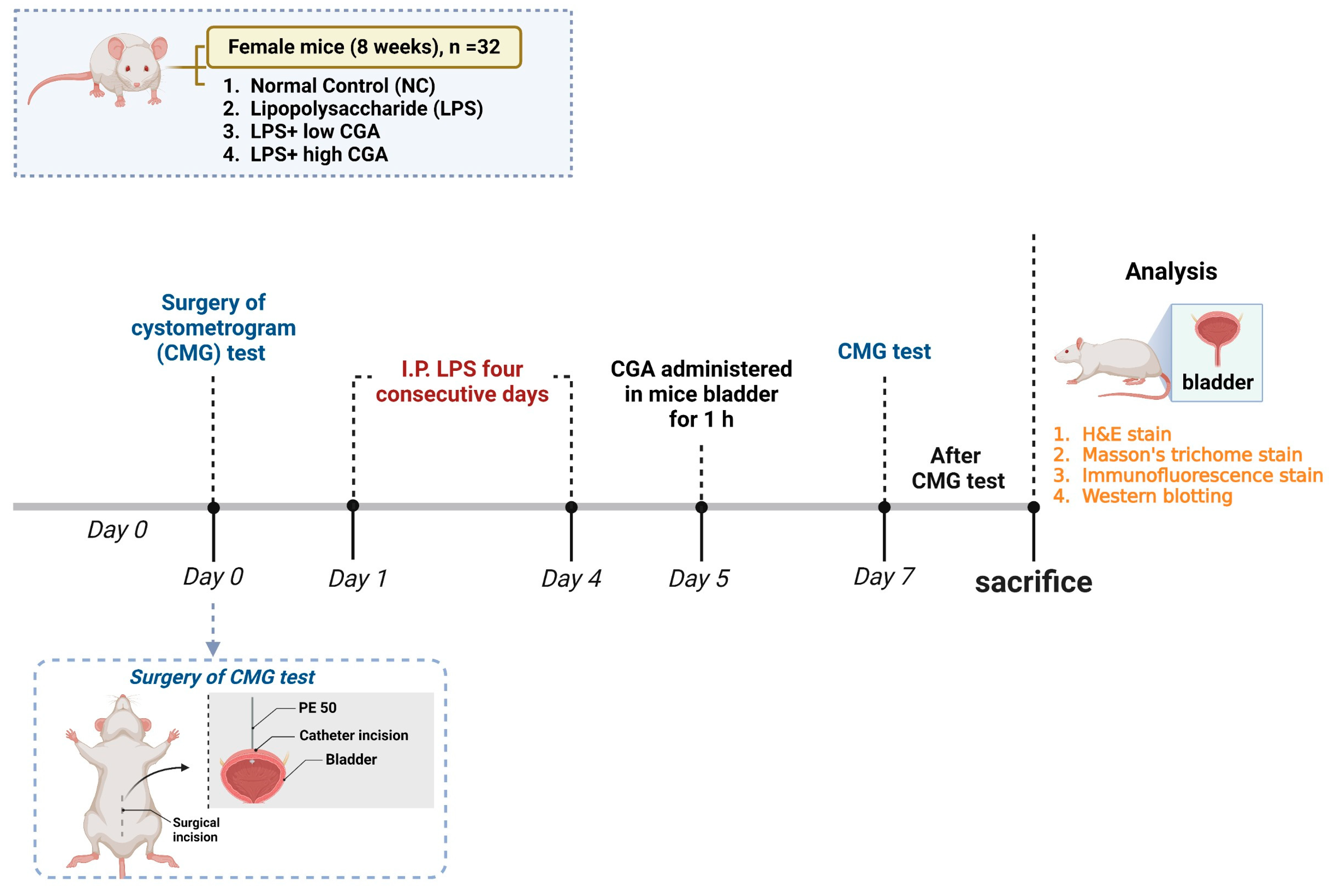Toxics 12 00239 g005