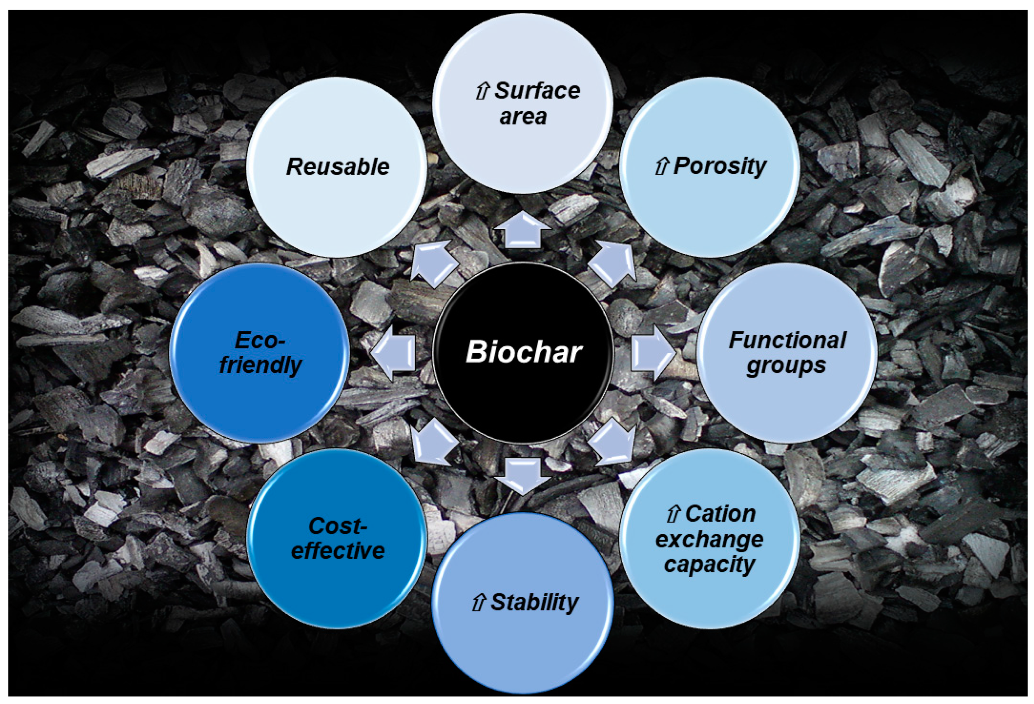 Toxics 12 00245 g004