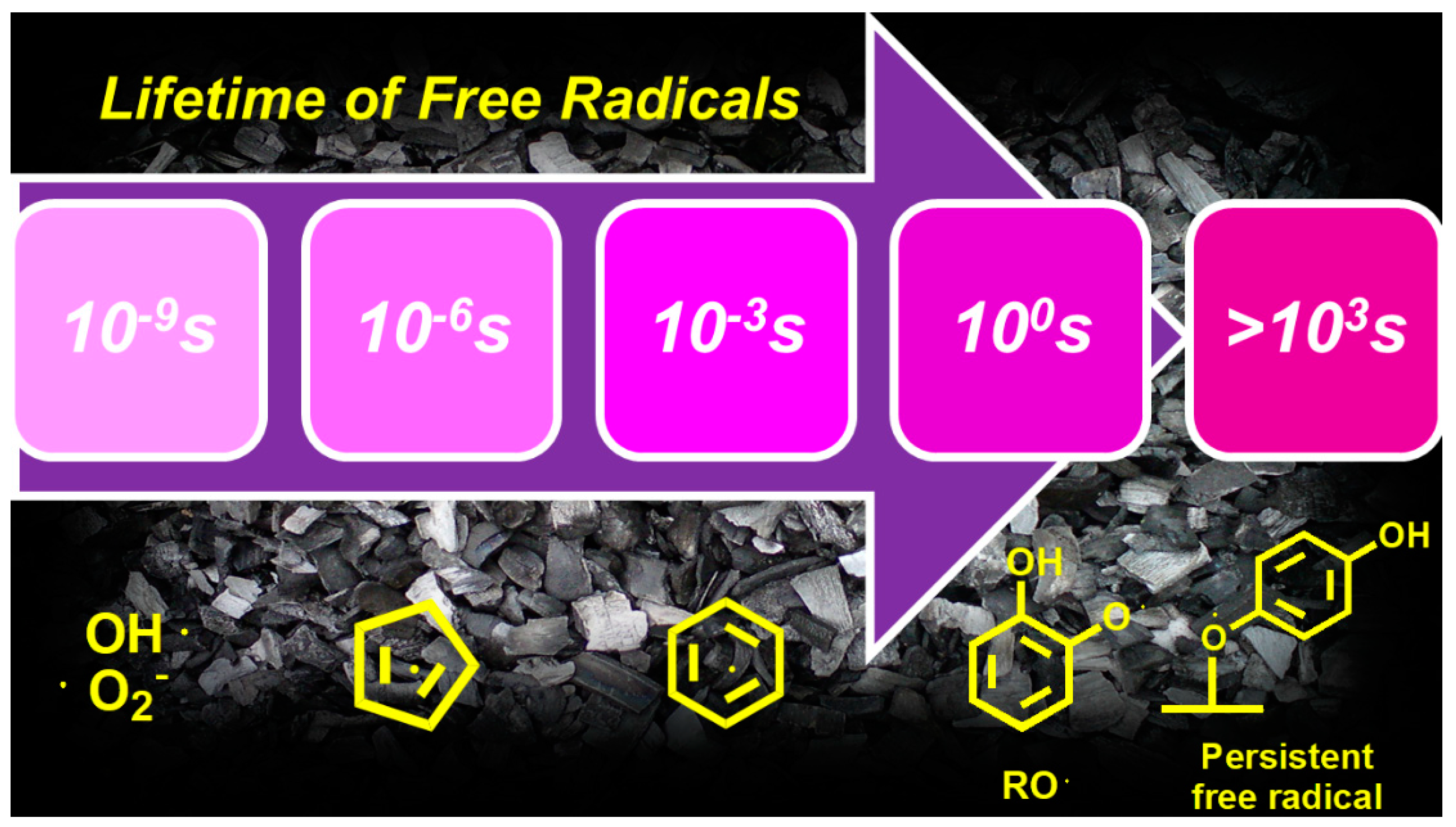 Toxics 12 00245 g006