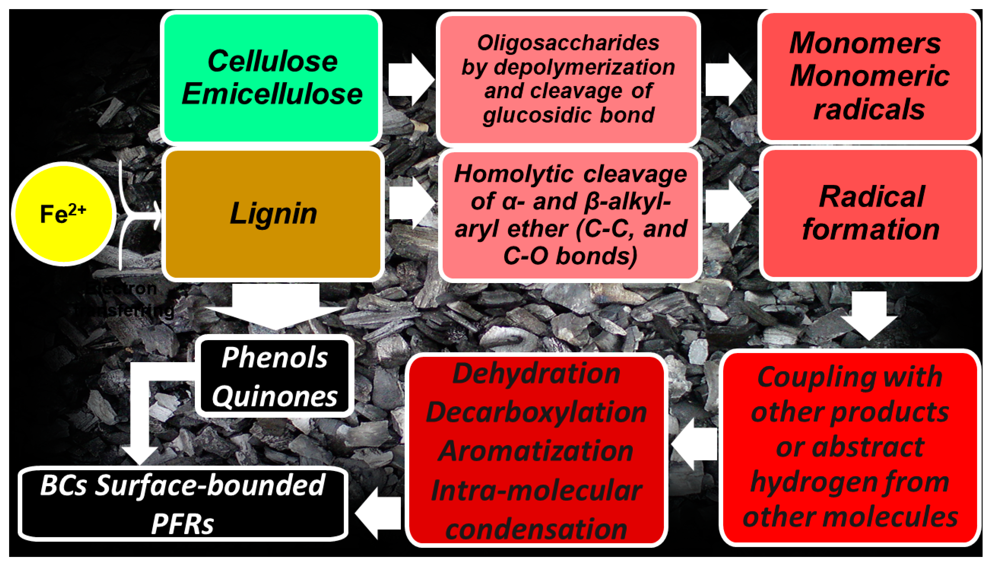 Toxics 12 00245 g009