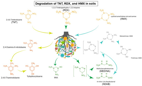 Toxics 12 00249 g002
