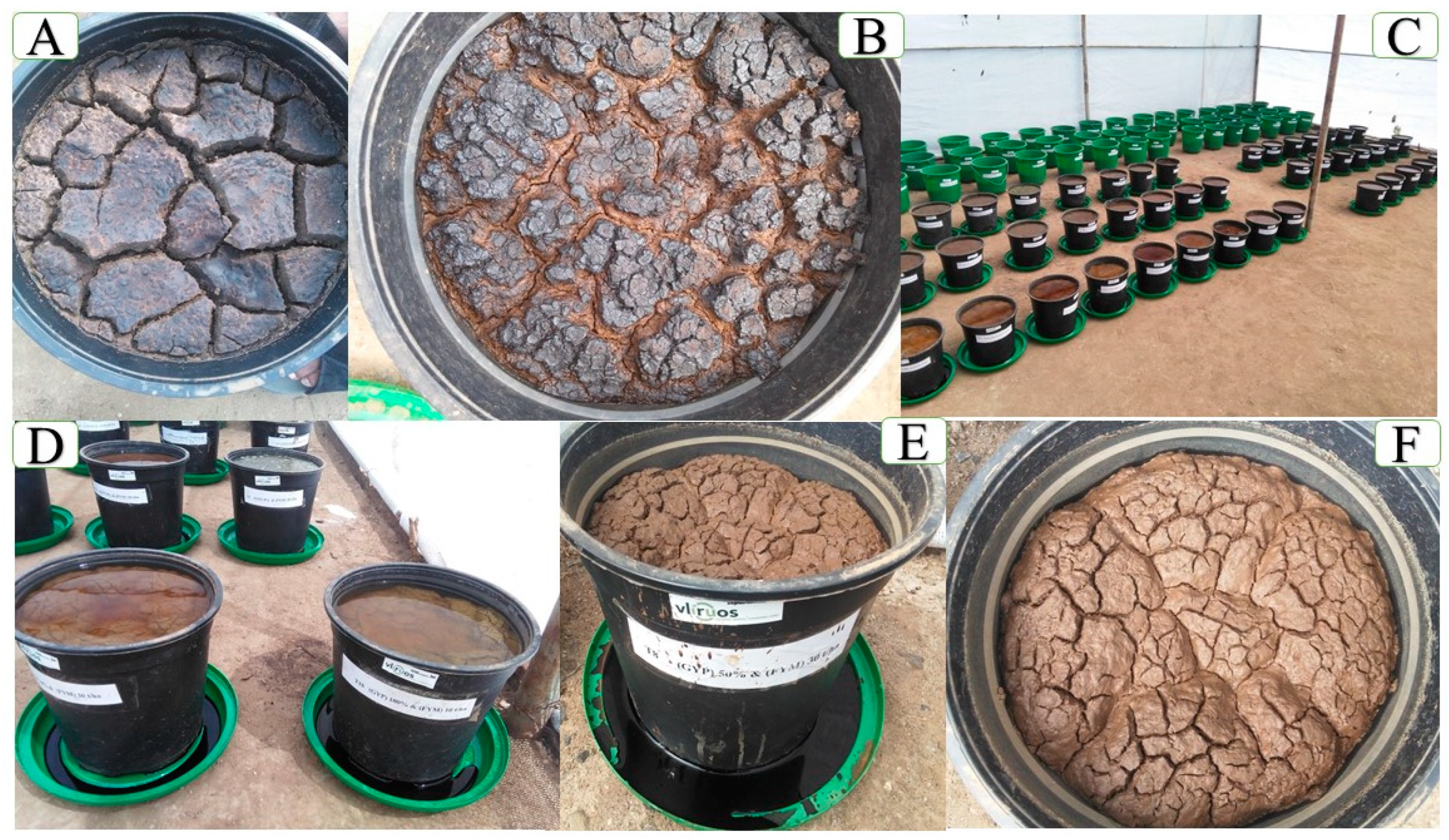 Toxics 12 00265 g004 Toxics 12 00265 g004