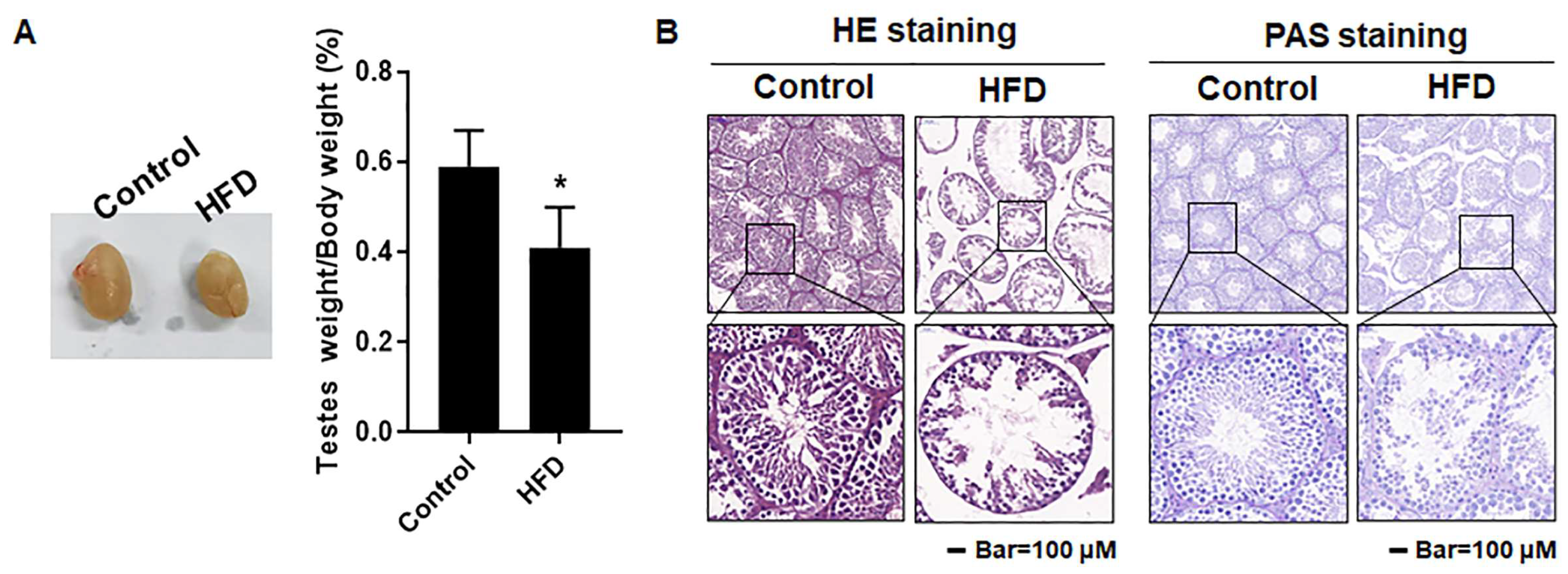 Toxics 12 00296 g003 Toxics 12 00296 g003
