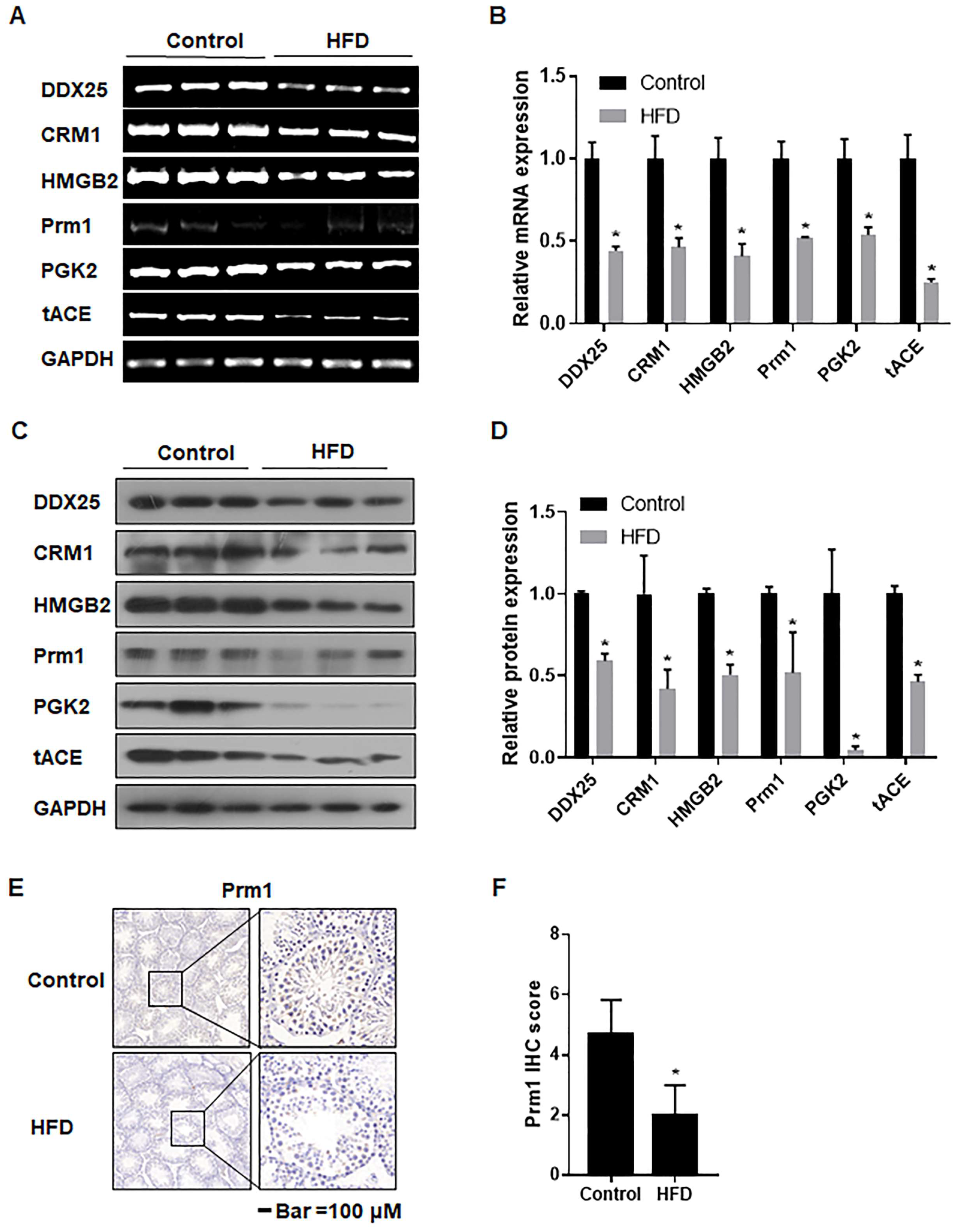 Toxics 12 00296 g005 Toxics 12 00296 g005