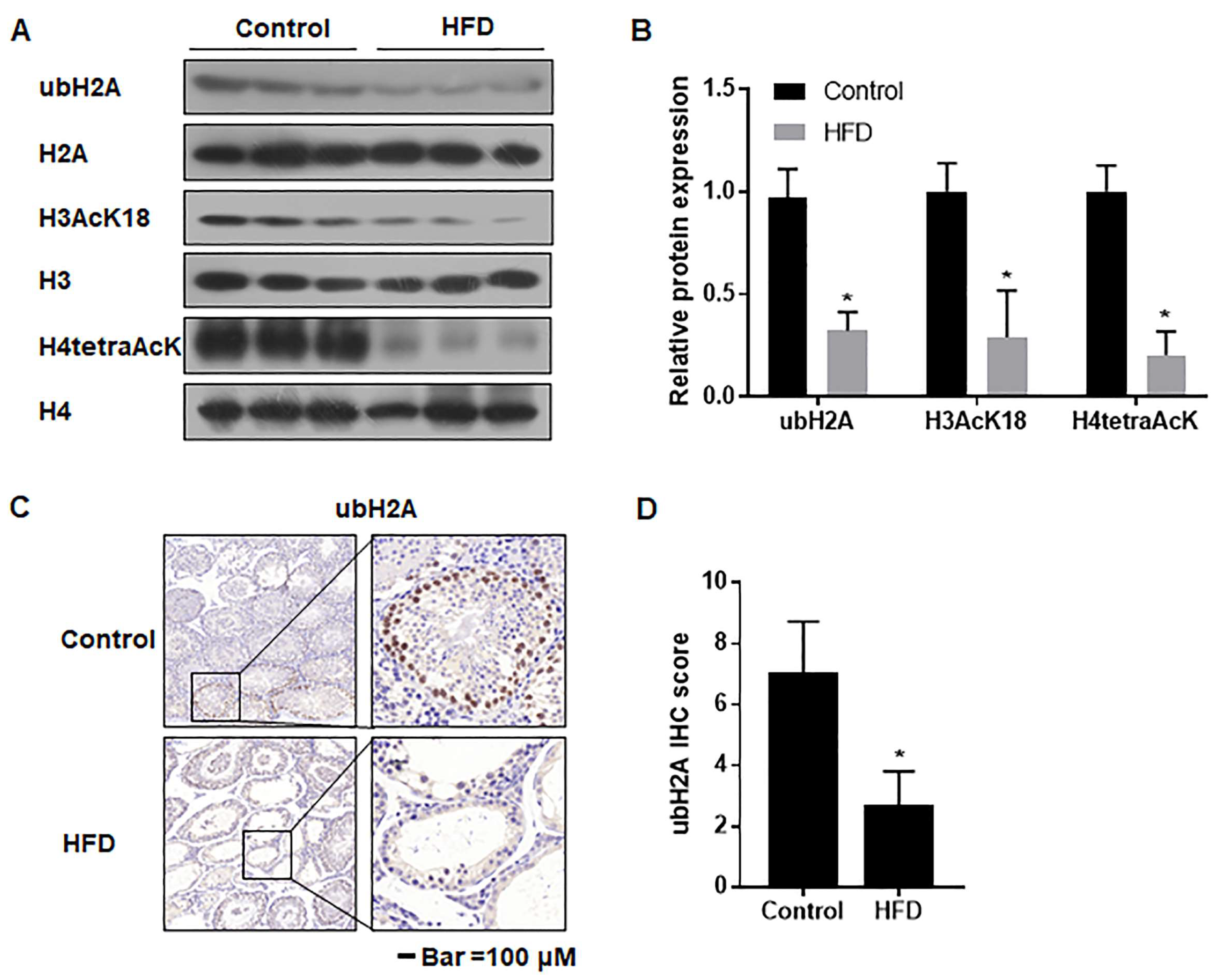 Toxics 12 00296 g006 Toxics 12 00296 g006