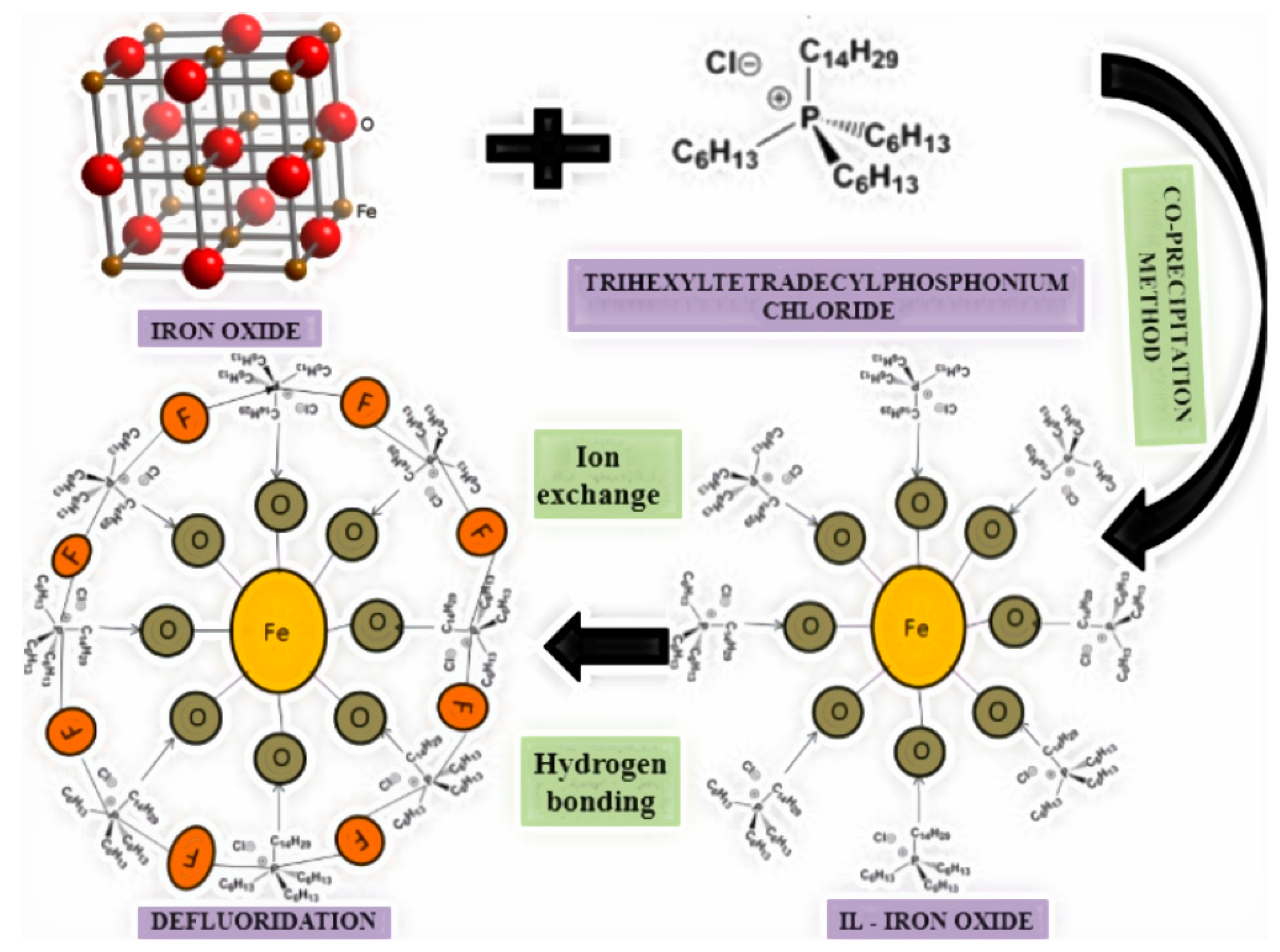 Toxics 12 00306 g002