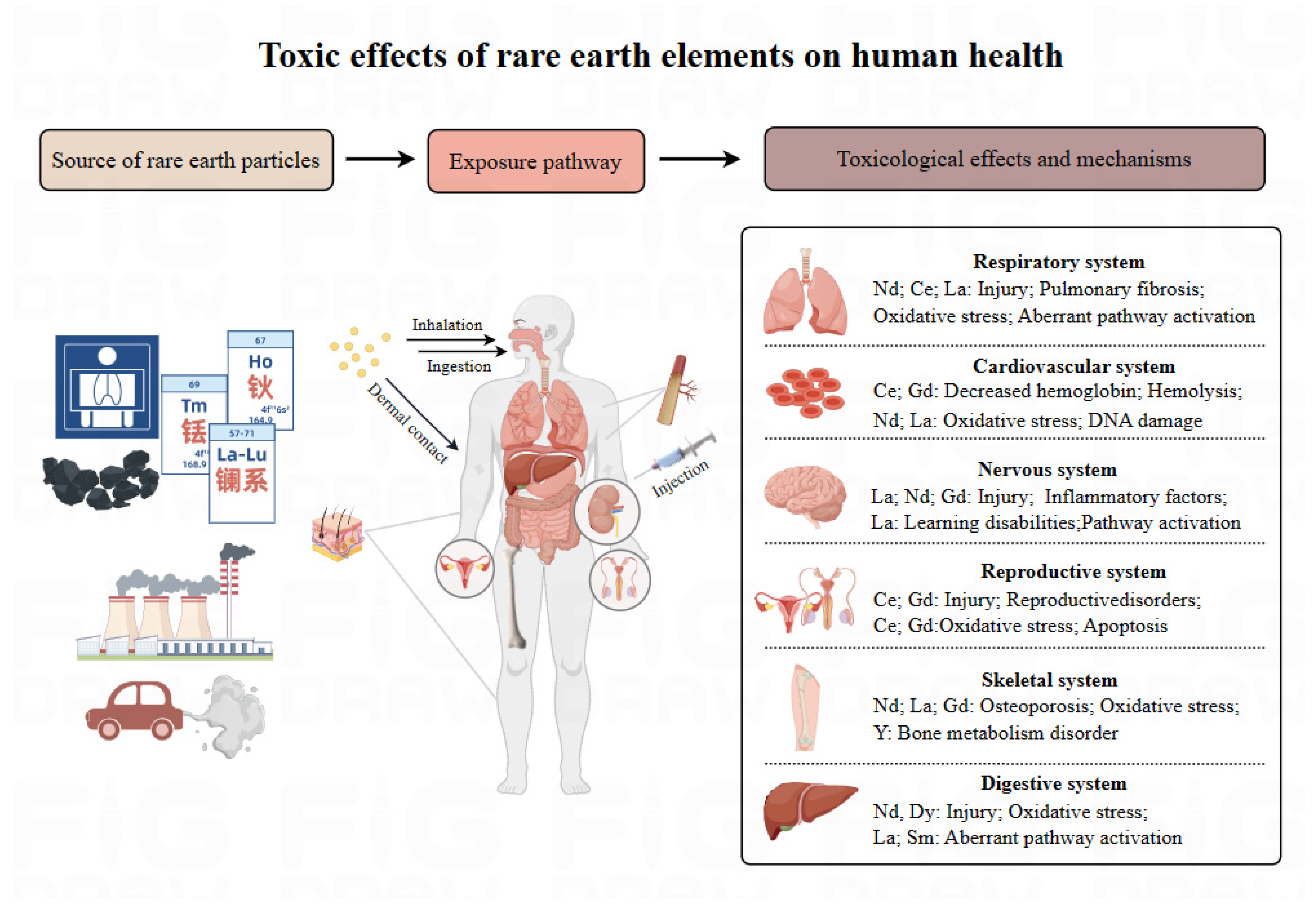 Toxics 12 00317 g001