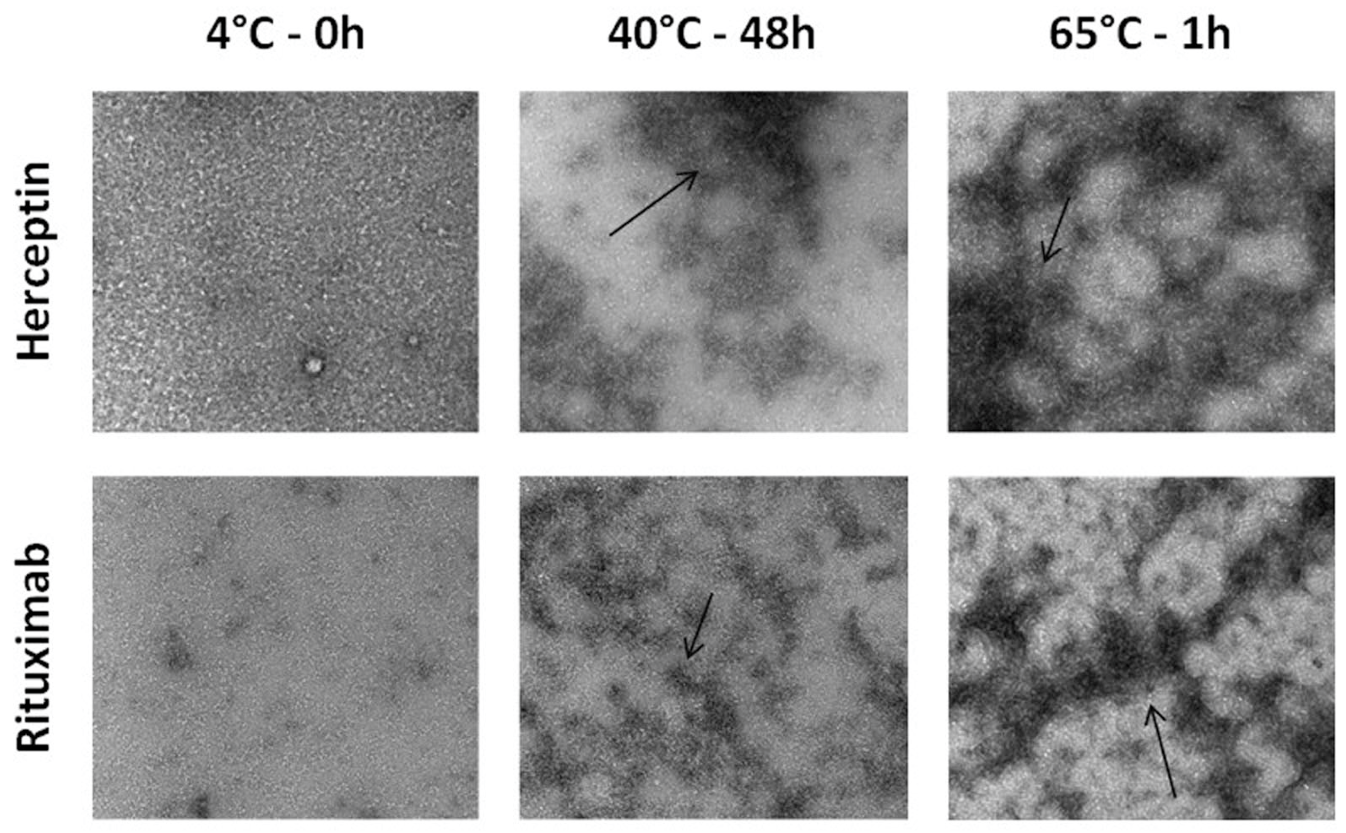 Toxics 12 00332 g003