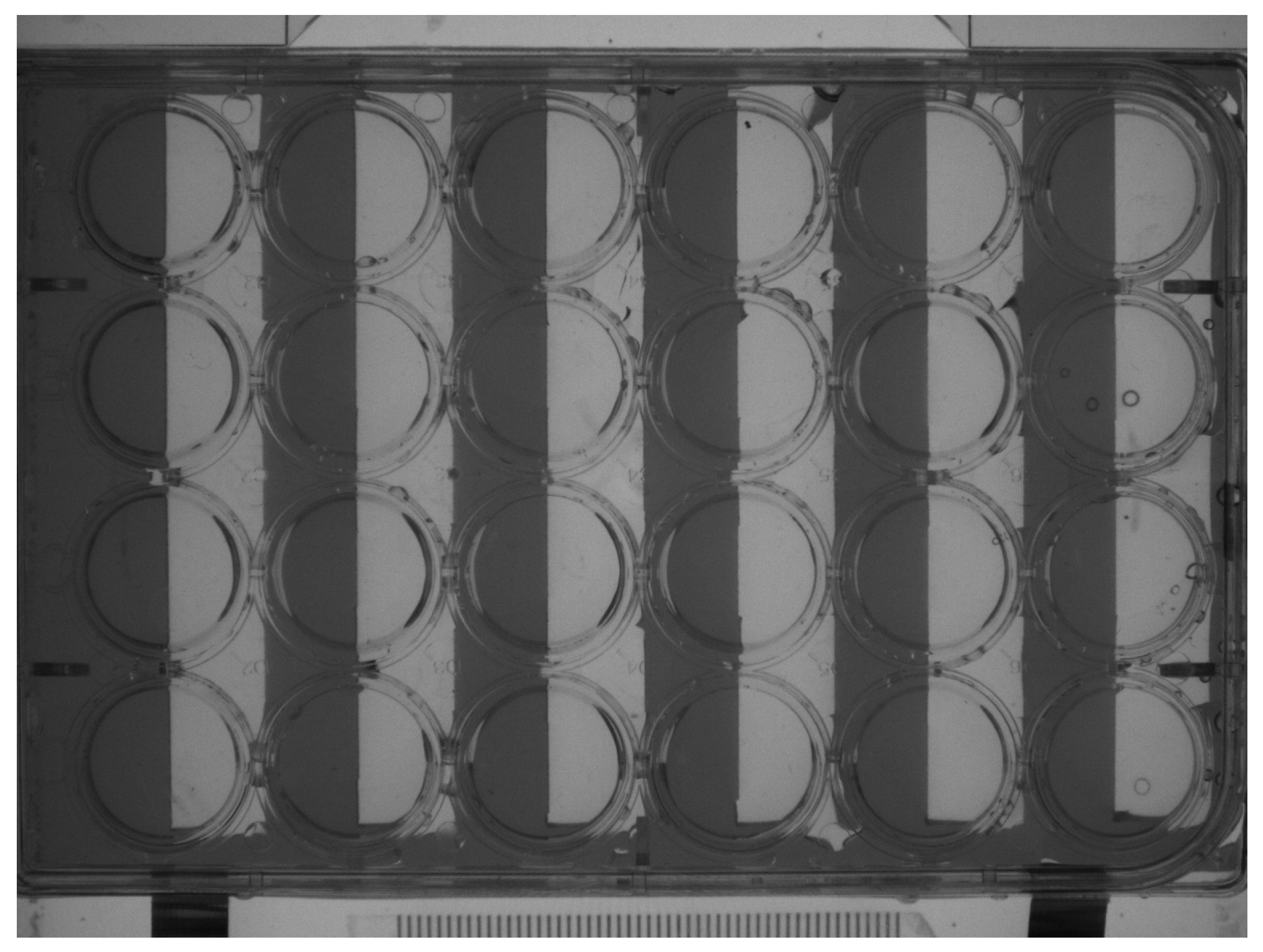 Toxics 12 00341 g001