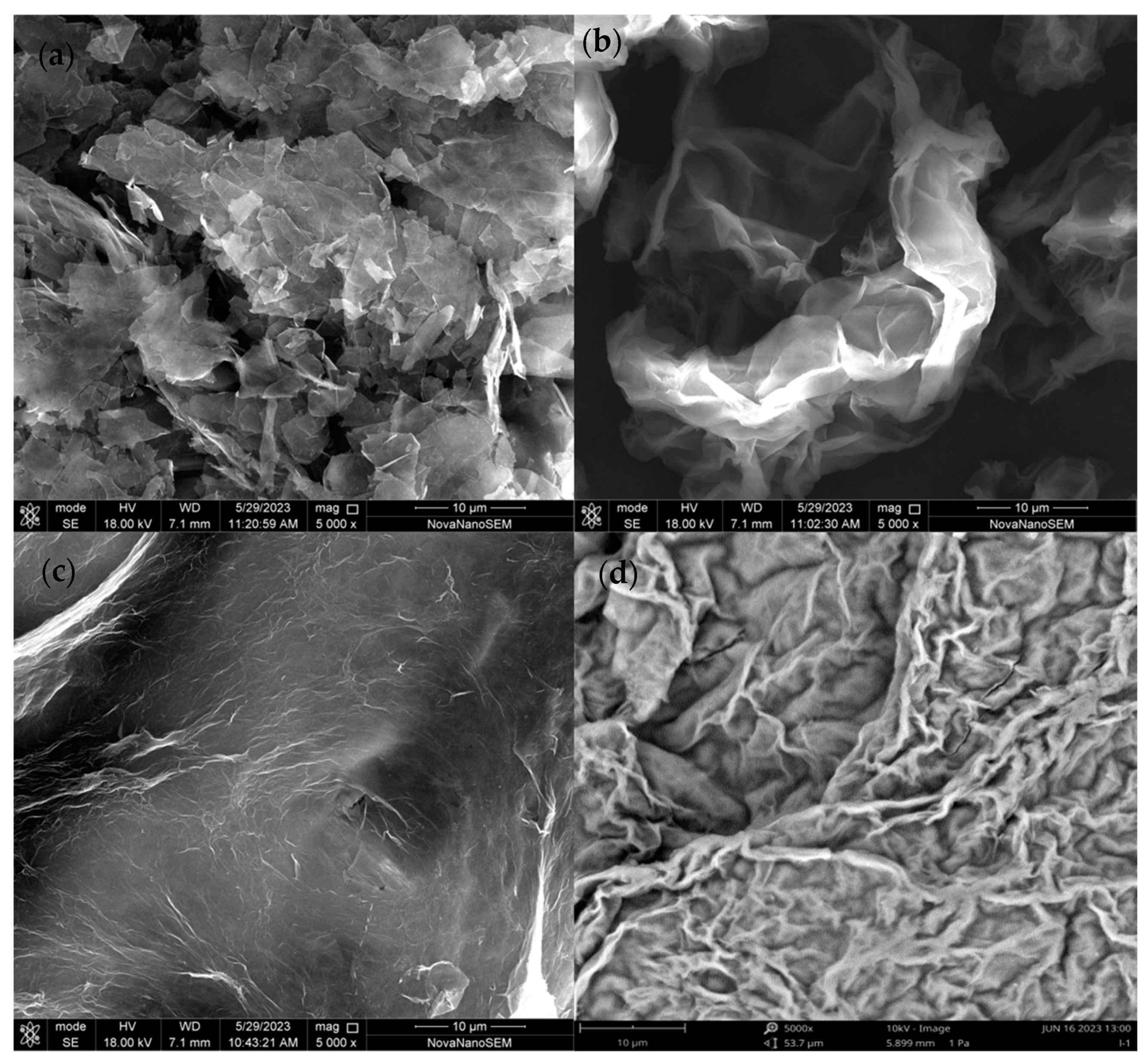 Toxics 12 00343 g001