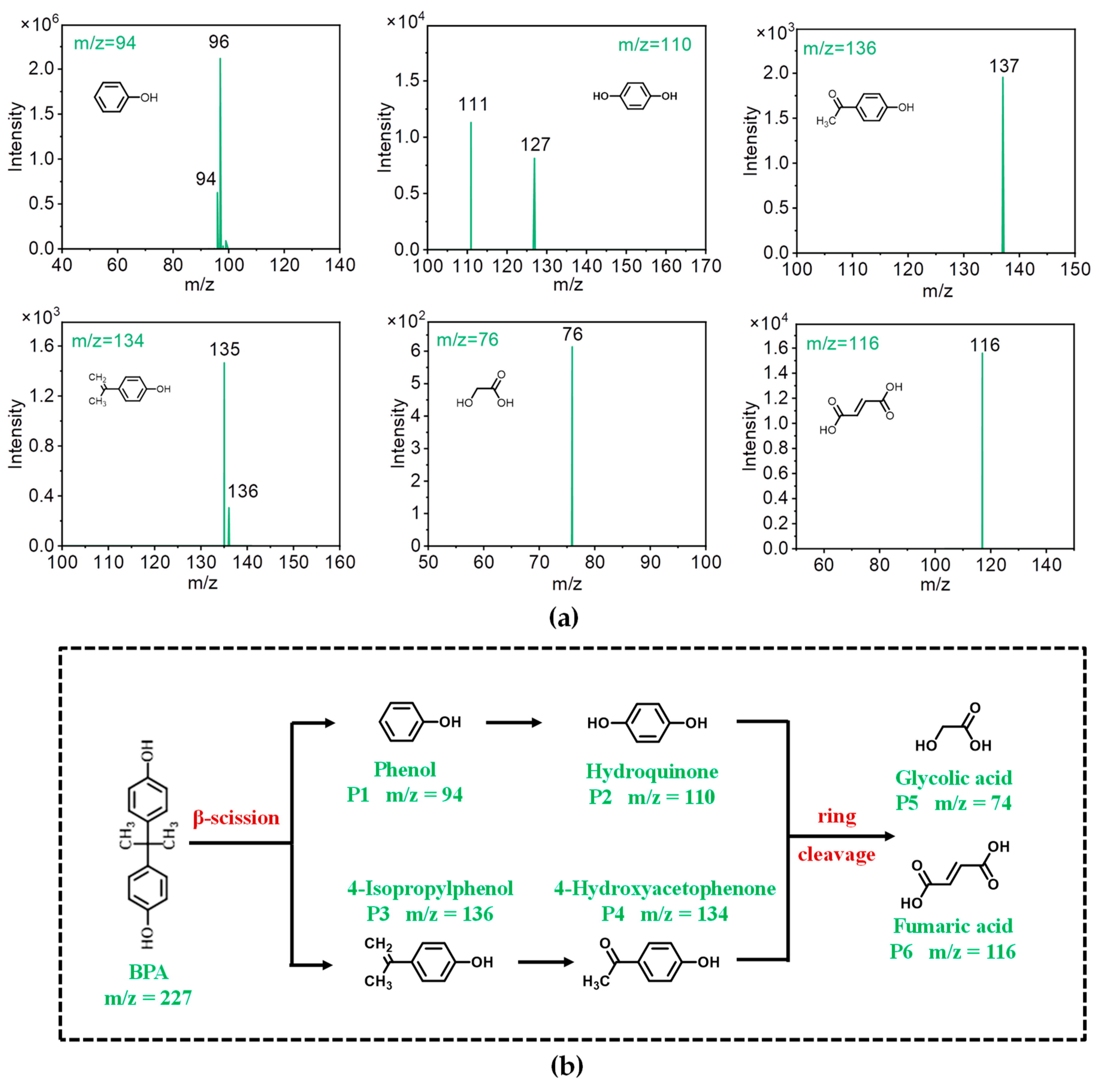 Toxics 12 00359 g011