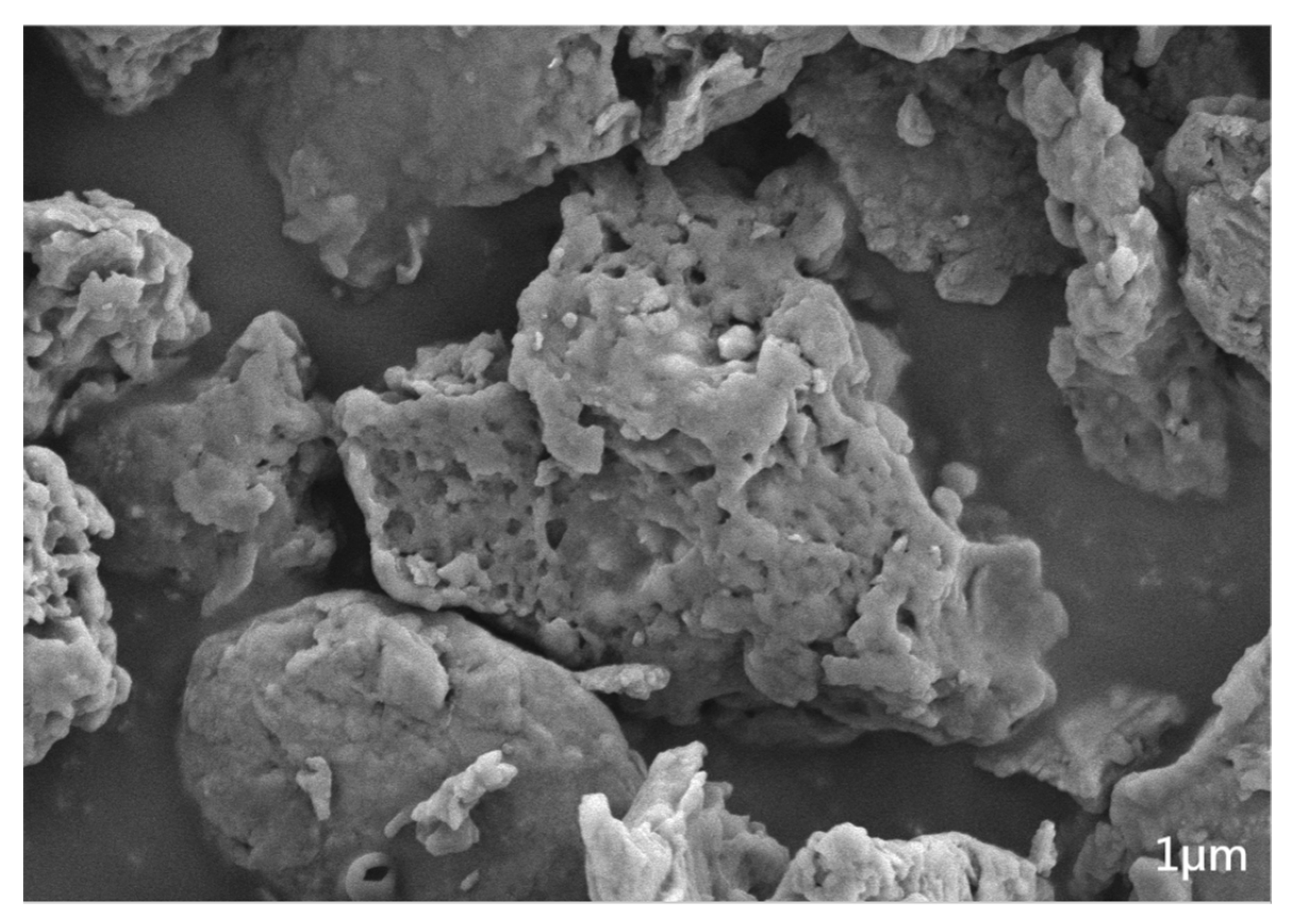 Toxics 12 00360 g001