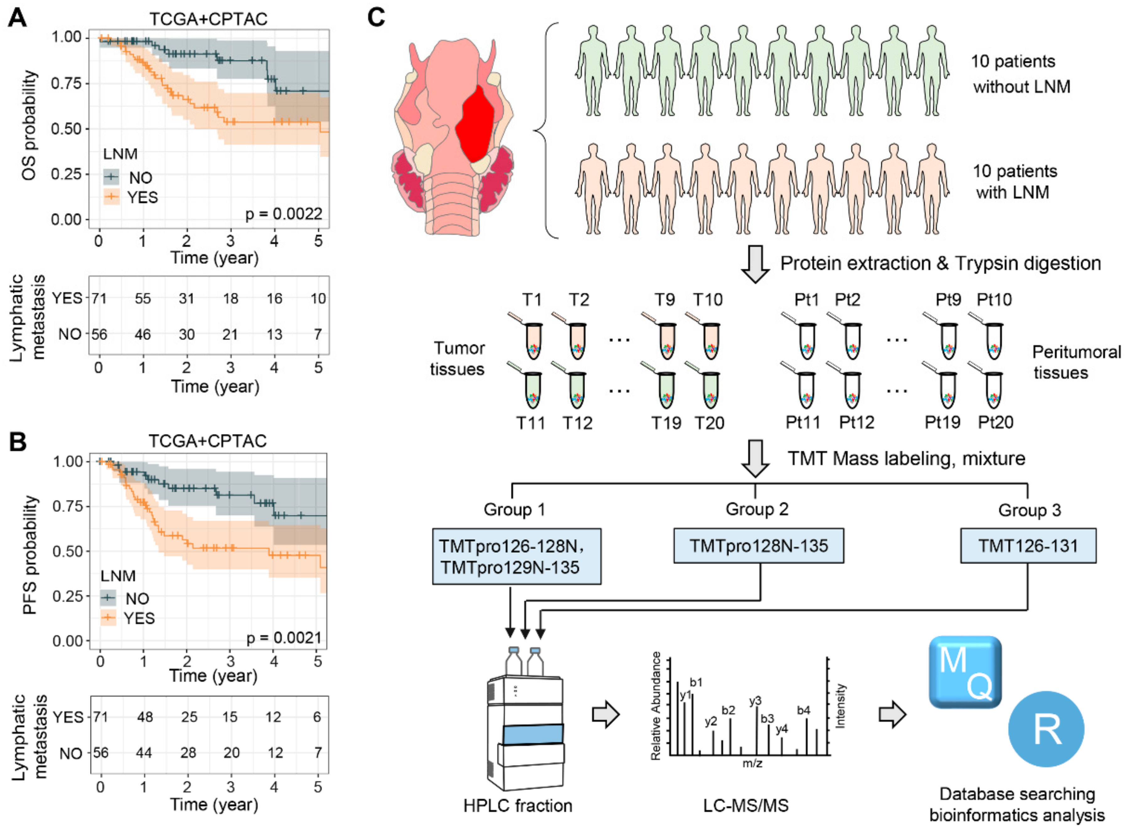 Toxics 12 00363 g001